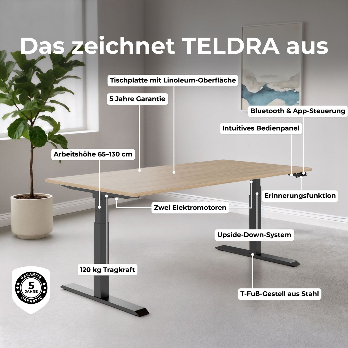 TELDRA Pro, Desk a 2 motori | 1600 - 2000 mm, regolabile altezza elettricamente, carbone Linoleum