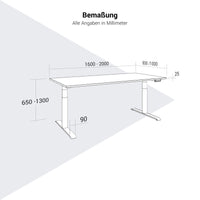 TELDRA 2.0, bureau à 2 moteurs | 1600 - 2000 mm, réglable en hauteur électriquement, Linoléum Pebble