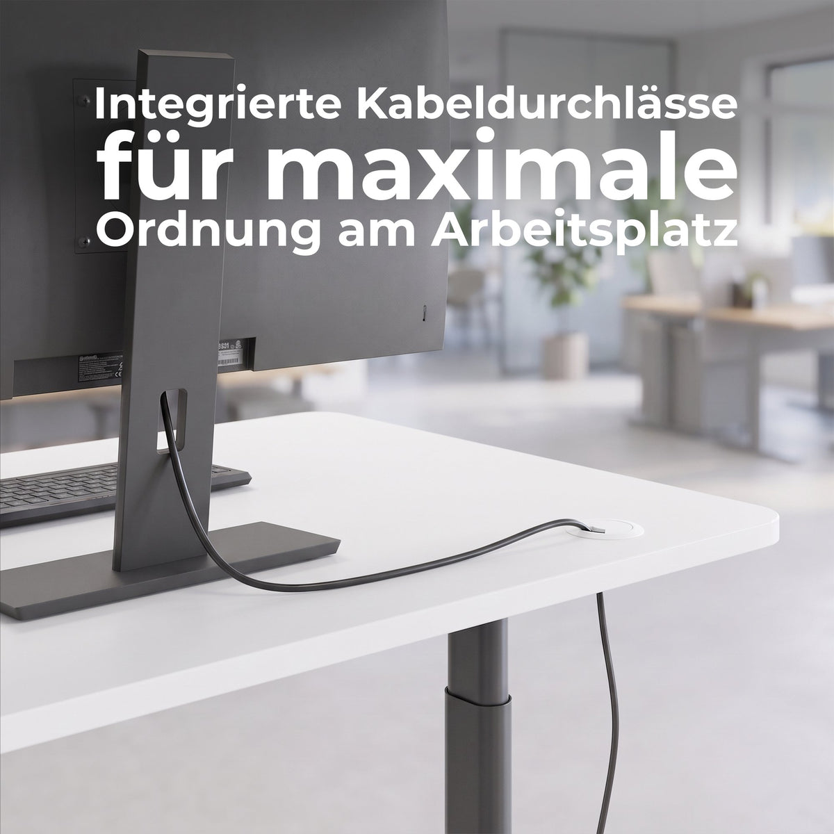 TELDRA Pro Curve, 2-Motoren-Schreibtisch | 1200-2000 mm, elektrisch höhenverstellbar, Bernsteineiche