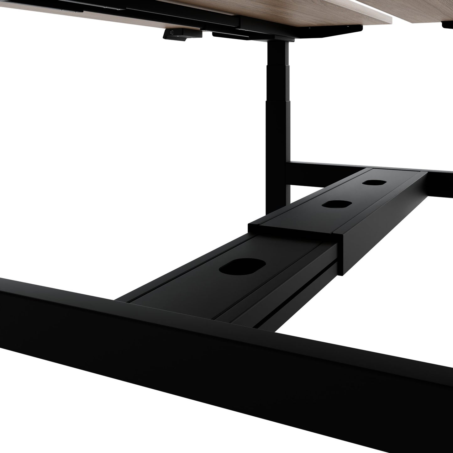 TELDRA Pro Team-Schreibtisch | 1600-1800 mm, elektrisch höhenverstellbar, Bernsteineiche