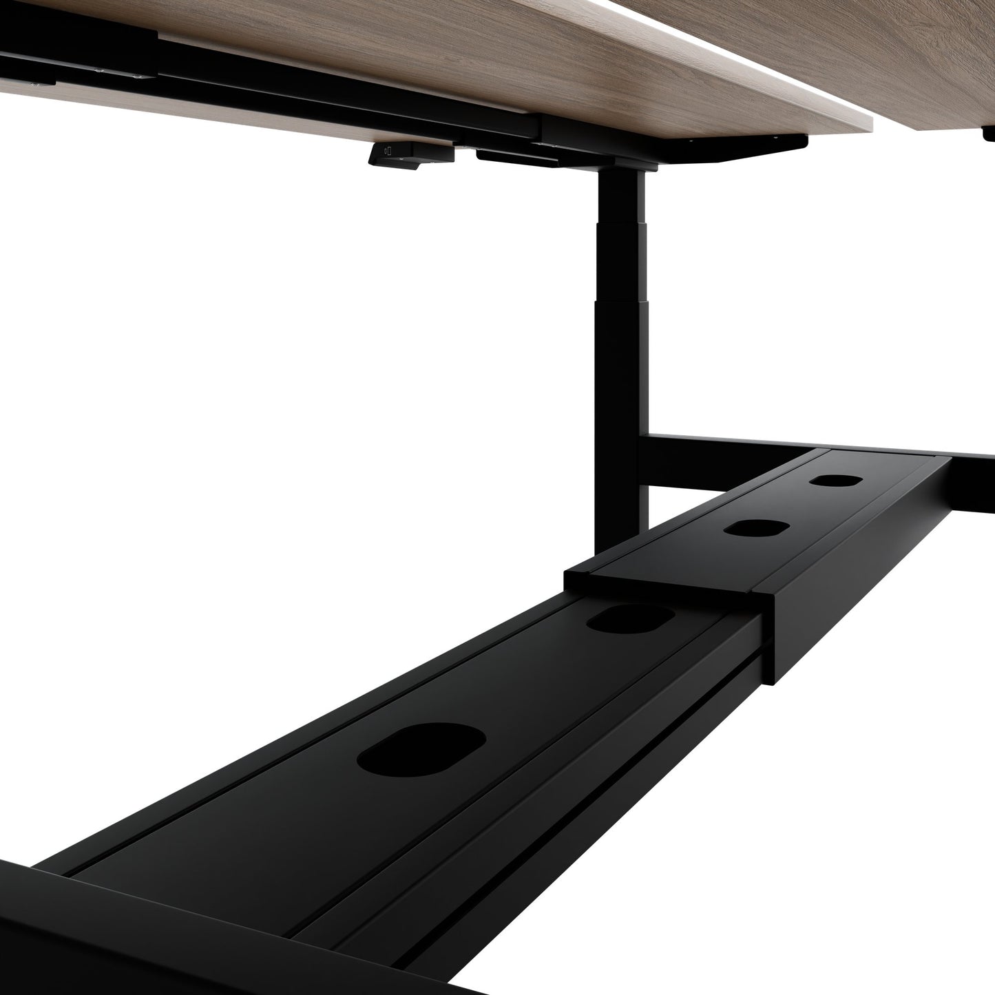 TELDRA Pro Team-Schreibtisch | 1600-1800 mm, elektrisch höhenverstellbar, Bernsteineiche