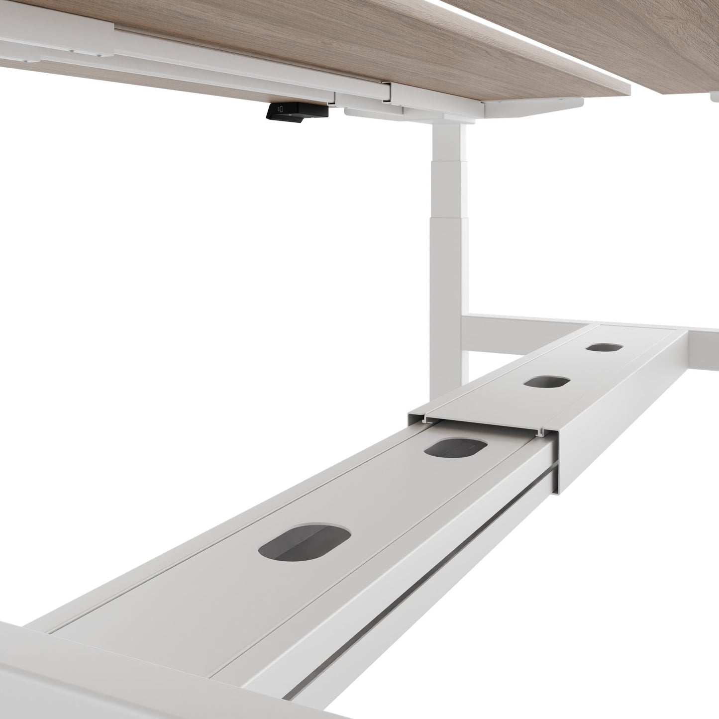 TELDRA Pro Team-Schreibtisch | 1600-1800 mm, elektrisch höhenverstellbar, Bernsteineiche