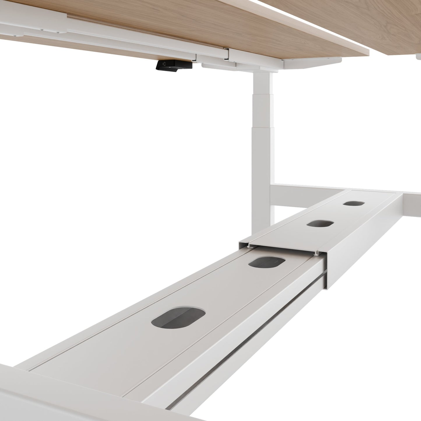 Bureau TELDRA Pro Team | 1600-1800 mm, réglable en hauteur électriquement, placage-chêne-véritable