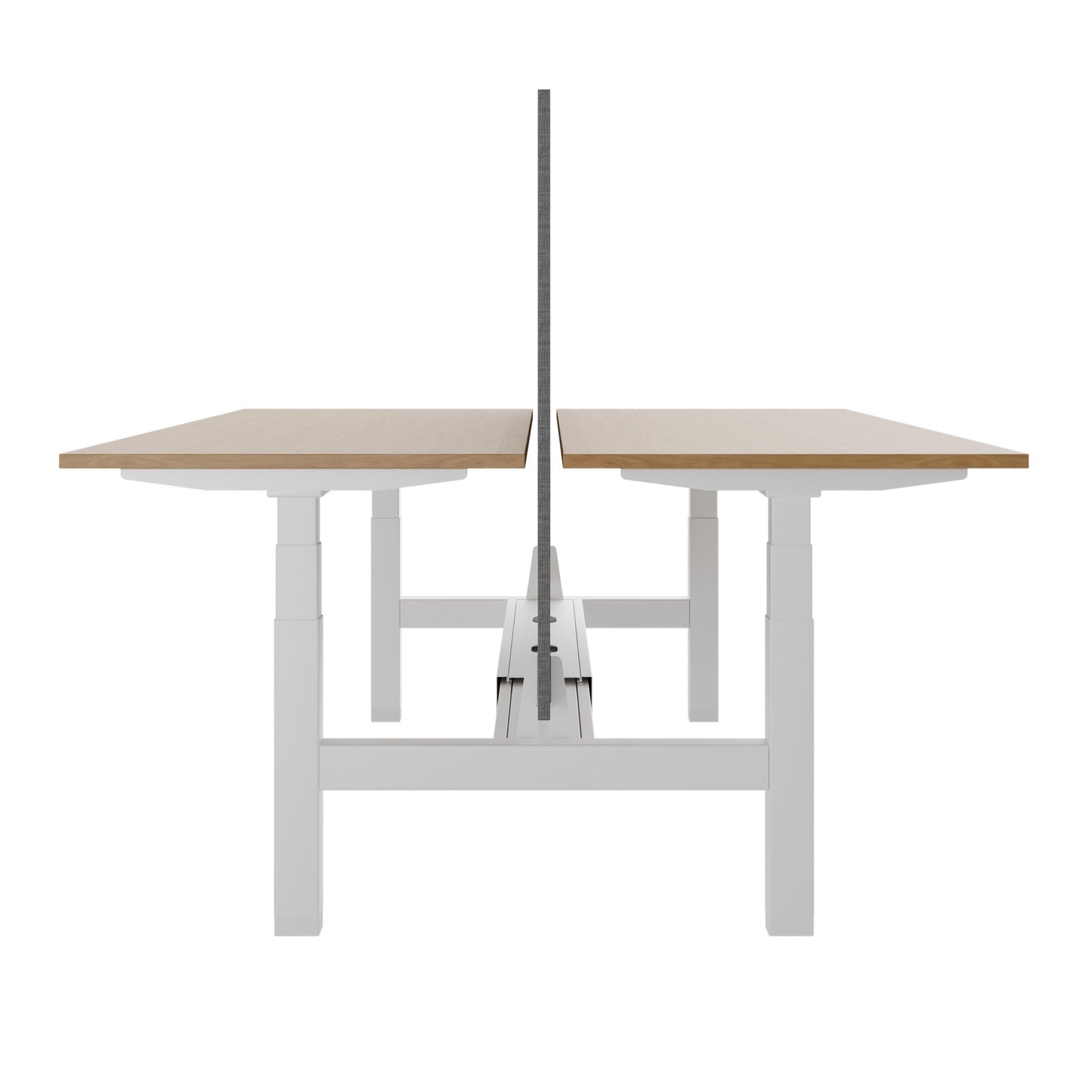 Bureau TELDRA Pro Team | 1600-1800 mm, réglable en hauteur électriquement, placage-chêne-véritable
