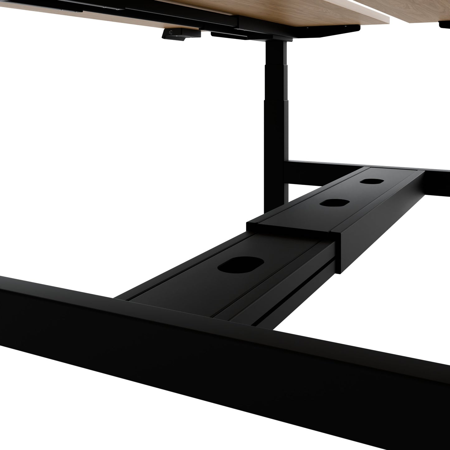 Bureau TELDRA Pro Team | 1600-1800 mm, réglable en hauteur électriquement, placage-chêne-véritable