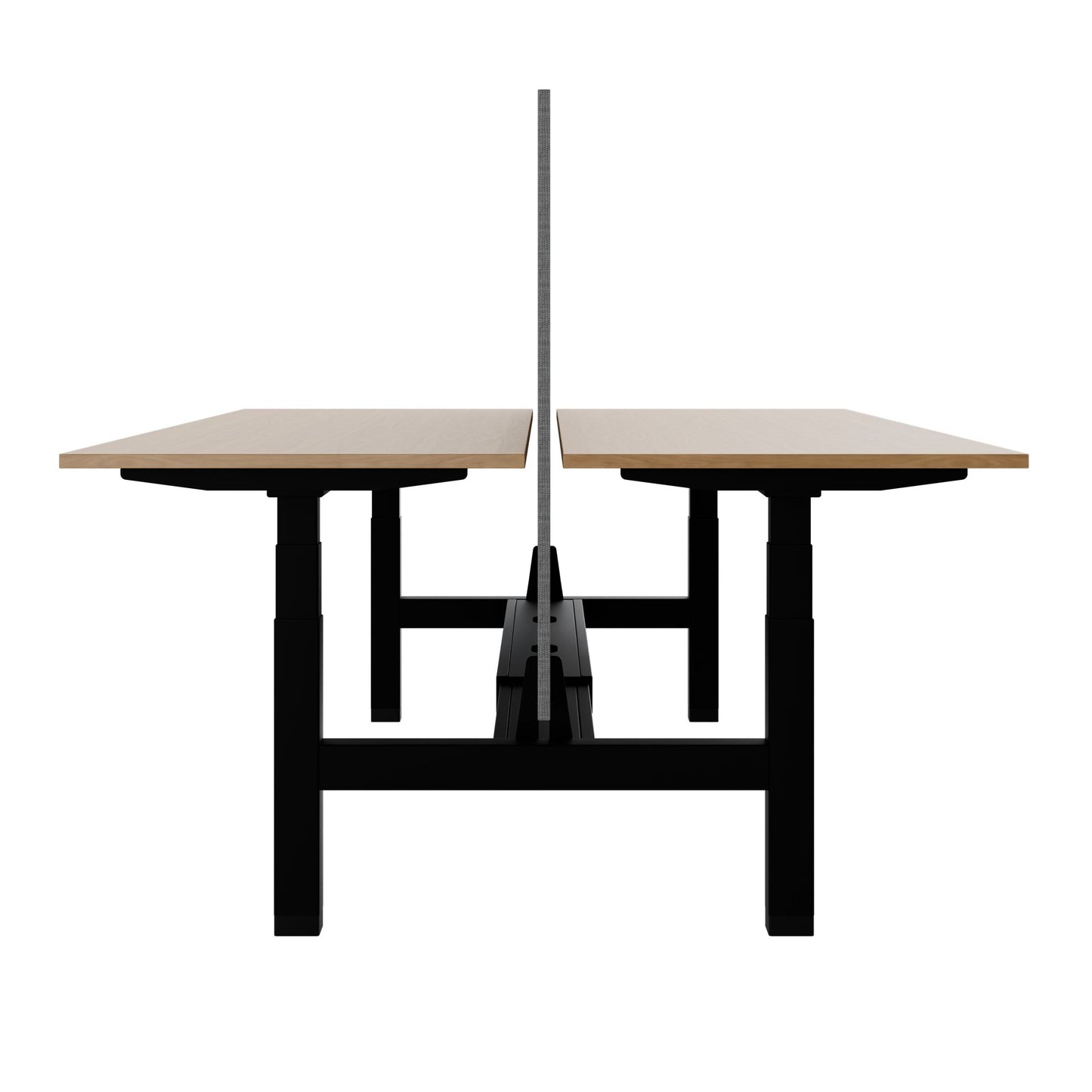 Bureau TELDRA Pro Team | 1600-1800 mm, réglable en hauteur électriquement, placage-chêne-véritable