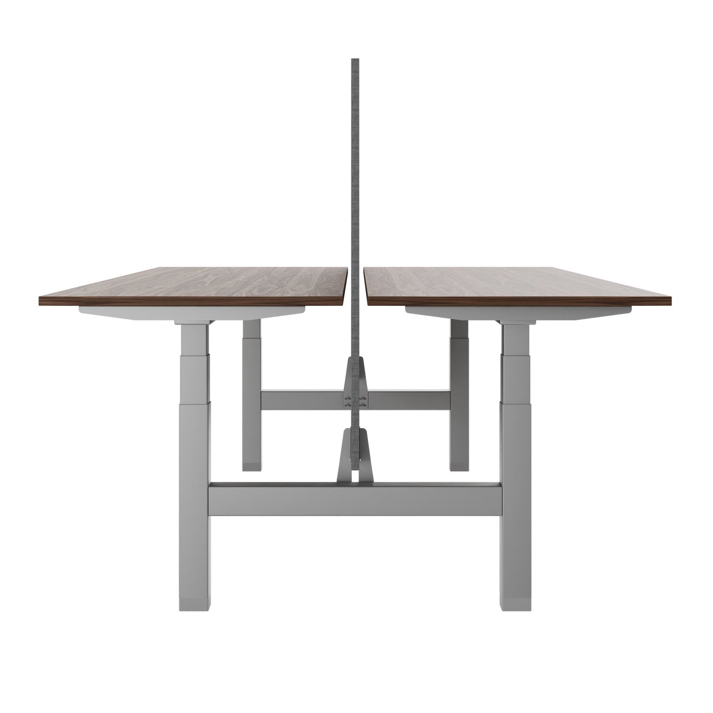 TELDRA Pro Team-Schreibtisch | 1600-1800 mm, elektrisch höhenverstellbar, Echtholz-Furnier Nussbaum