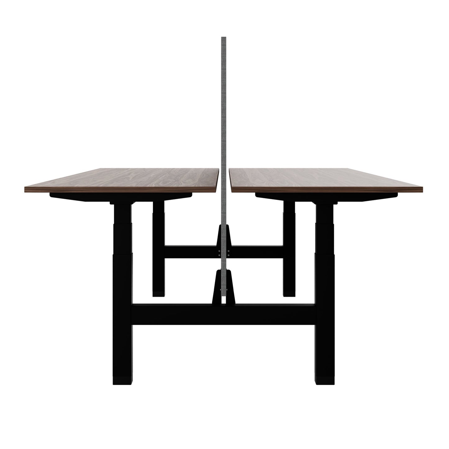 TELDRA Pro Team-Schreibtisch | 1600-1800 mm, elektrisch höhenverstellbar, Echtholz-Furnier Nussbaum