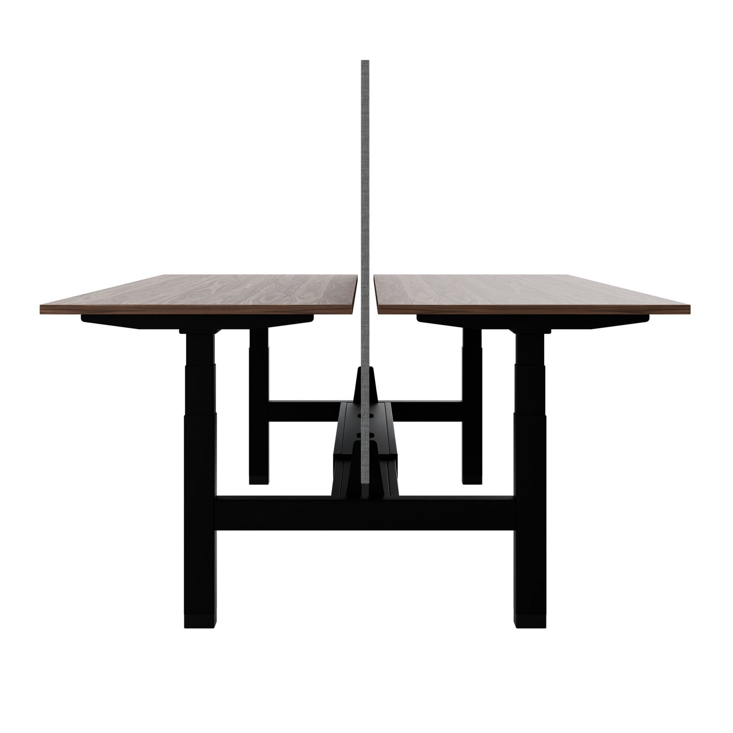 TELDRA Pro Team-Schreibtisch | 1600-1800 mm, elektrisch höhenverstellbar, Echtholz-Furnier Nussbaum