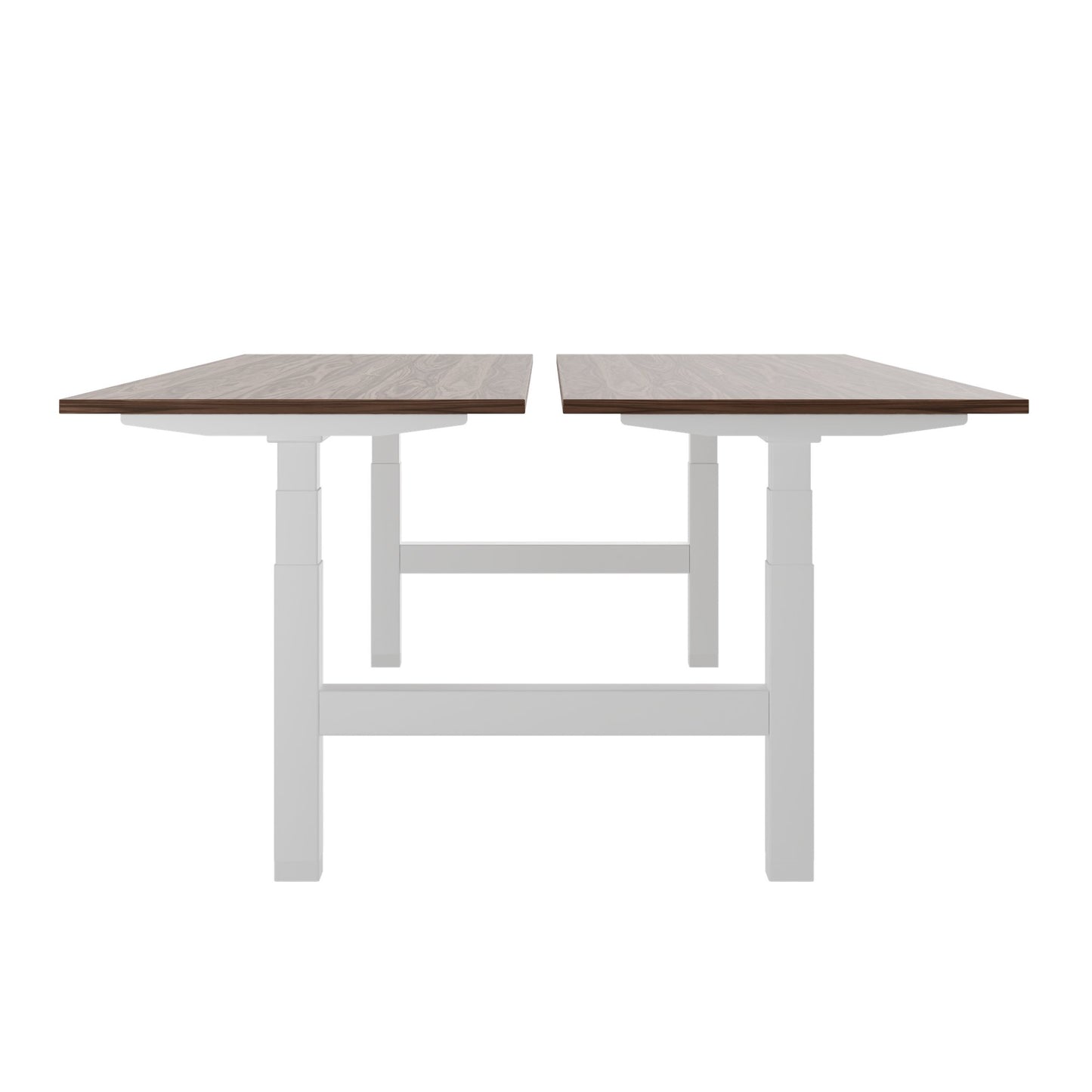 TELDRA Pro Team-Schreibtisch | 1600-1800 mm, elektrisch höhenverstellbar, Echtholz-Furnier Nussbaum