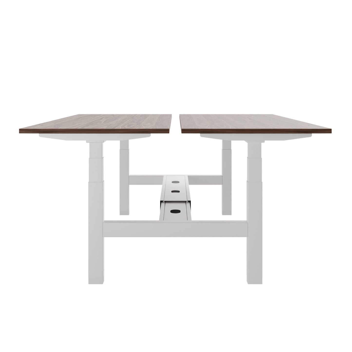 TELDRA Pro Team-Schreibtisch | 1600-1800 mm, elektrisch höhenverstellbar, Echtholz-Furnier Nussbaum