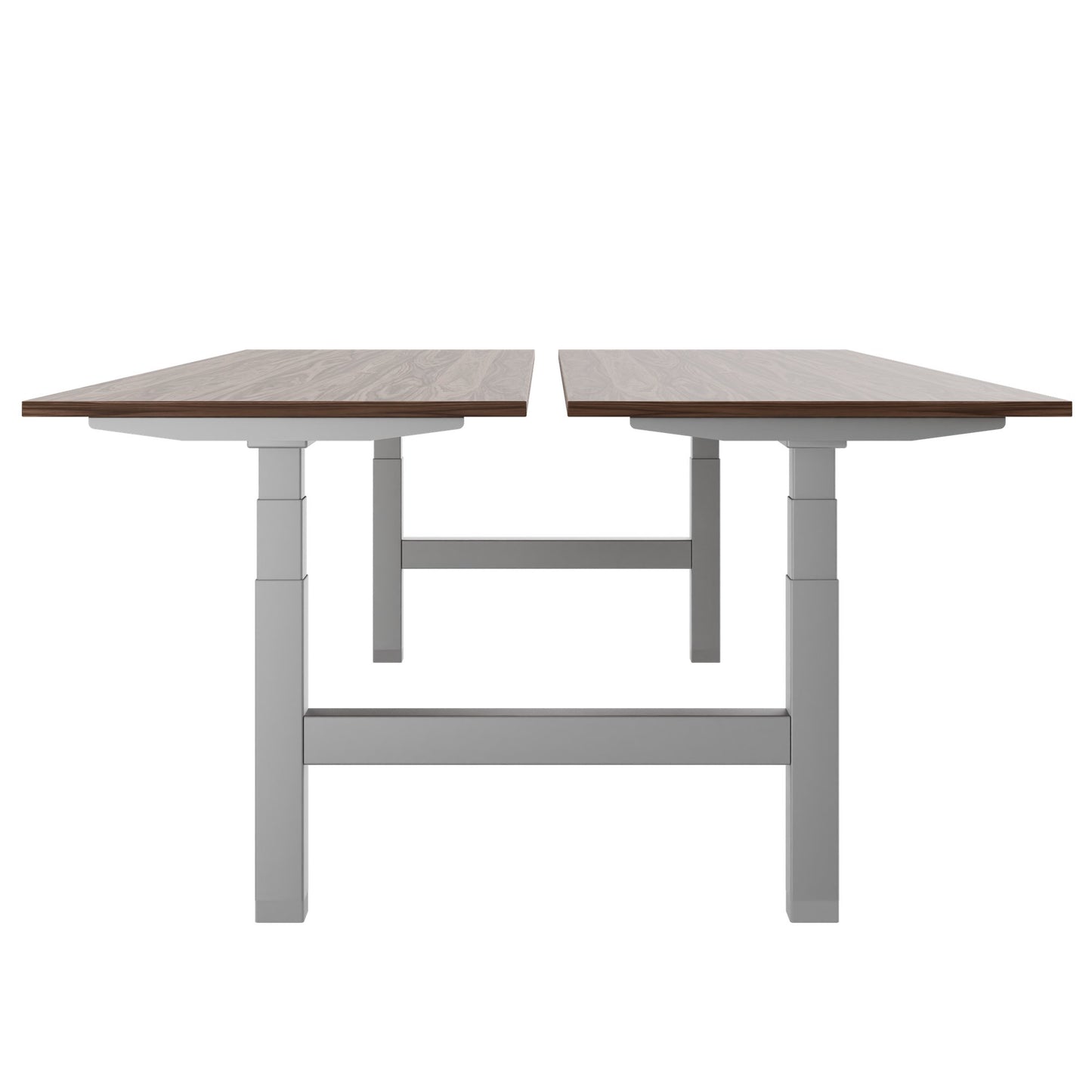 TELDRA Pro Team-Schreibtisch | 1600-1800 mm, elektrisch höhenverstellbar, Echtholz-Furnier Nussbaum