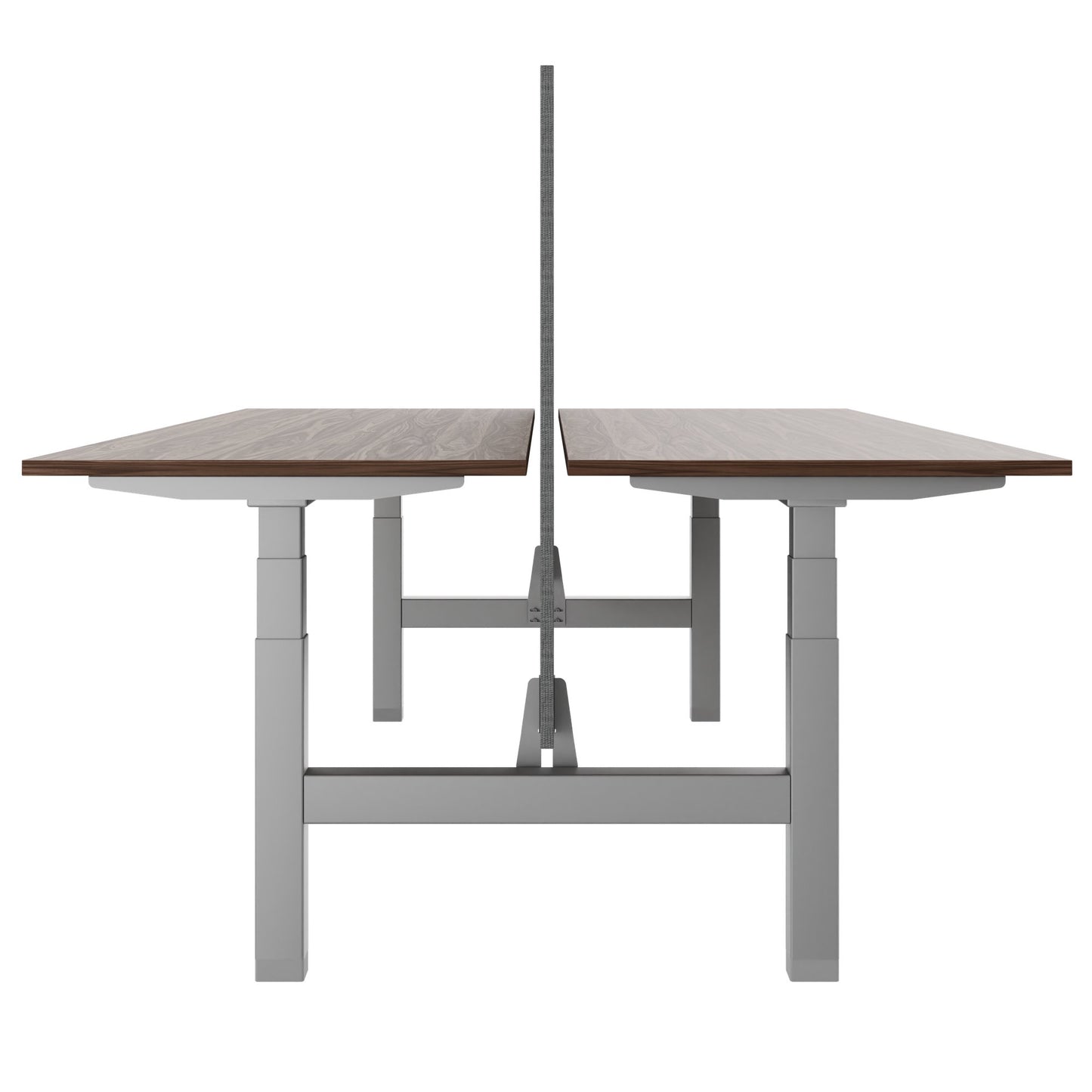 TELDRA Pro Team-Schreibtisch | 1600-1800 mm, elektrisch höhenverstellbar, Echtholz-Furnier Nussbaum