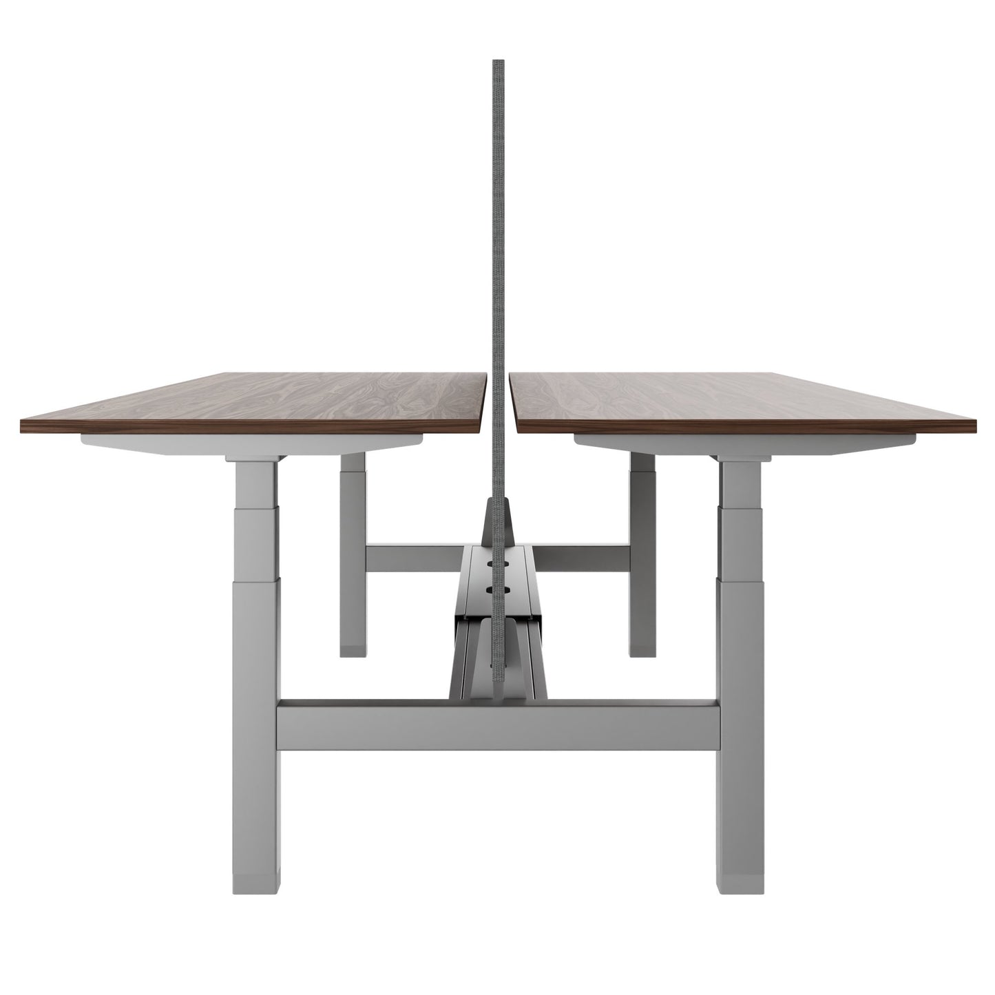 TELDRA Pro Team-Schreibtisch | 1600-1800 mm, elektrisch höhenverstellbar, Echtholz-Furnier Nussbaum