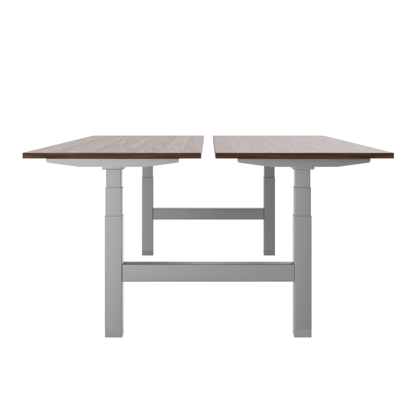 TELDRA Pro Team-Schreibtisch | 1600-1800 mm, elektrisch höhenverstellbar, Echtholz-Furnier Nussbaum