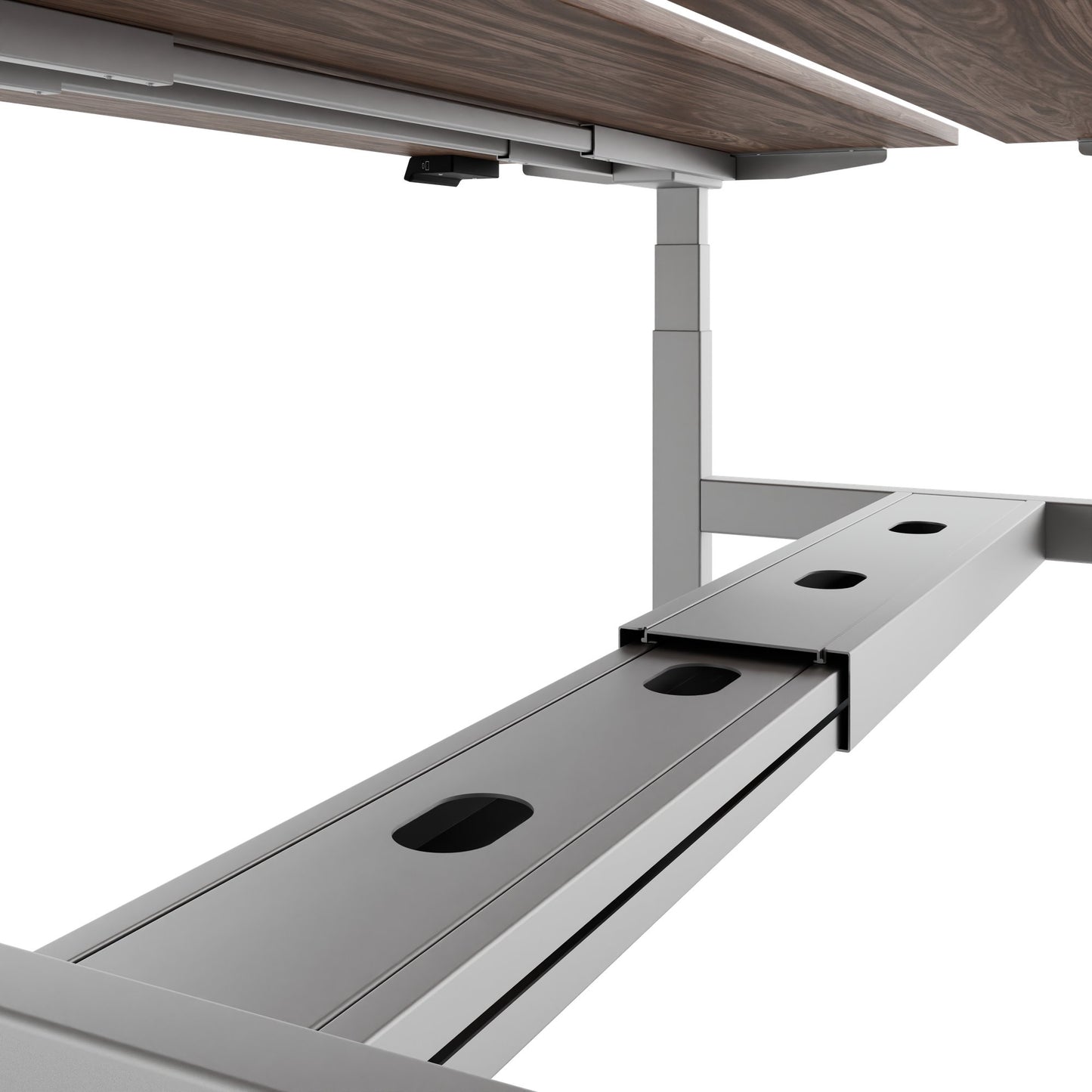 TELDRA Pro Team-Schreibtisch | 1600-1800 mm, elektrisch höhenverstellbar, Echtholz-Furnier Nussbaum