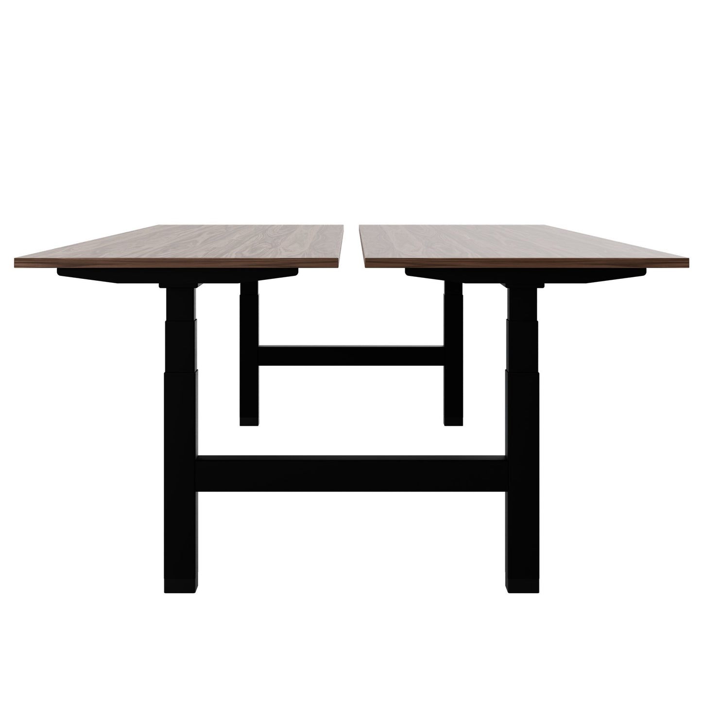 TELDRA Pro Team-Schreibtisch | 1600-1800 mm, elektrisch höhenverstellbar, Echtholz-Furnier Nussbaum