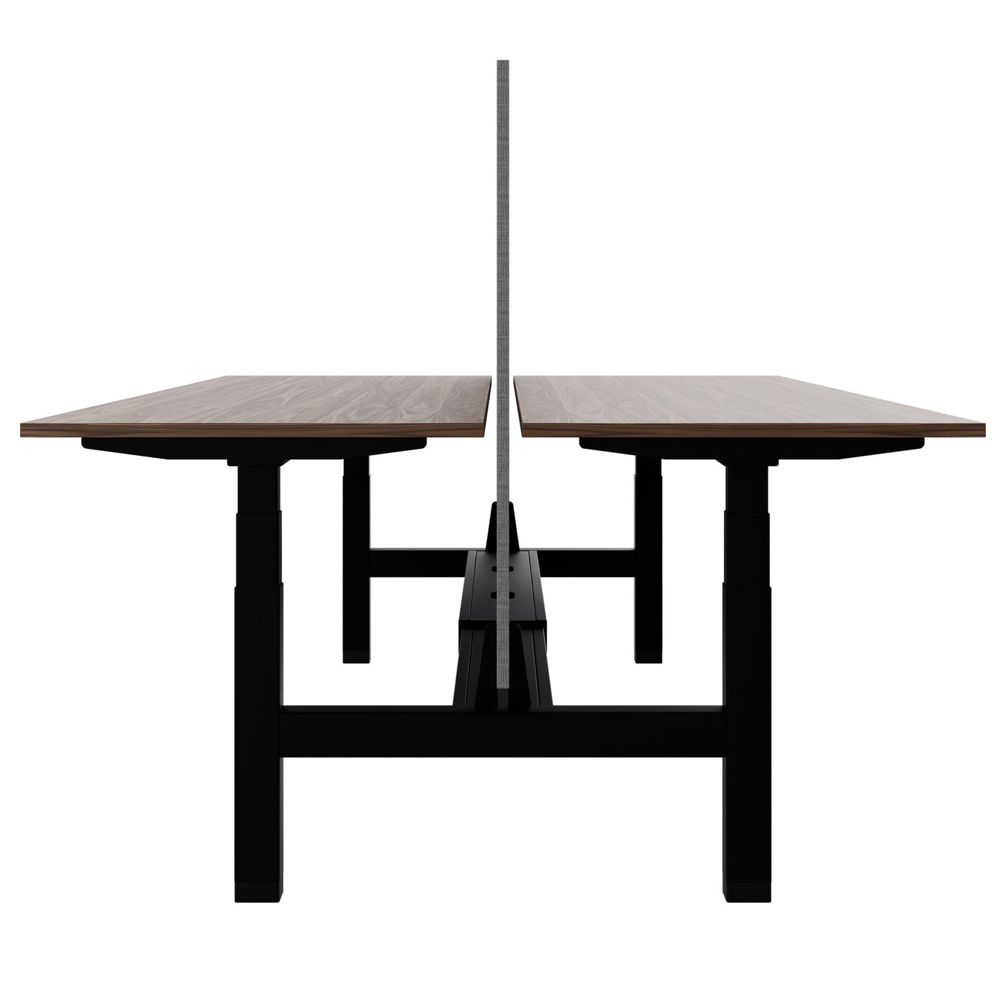 TELDRA Pro Team-Schreibtisch | 1600-1800 mm, elektrisch höhenverstellbar, Echtholz-Furnier Nussbaum