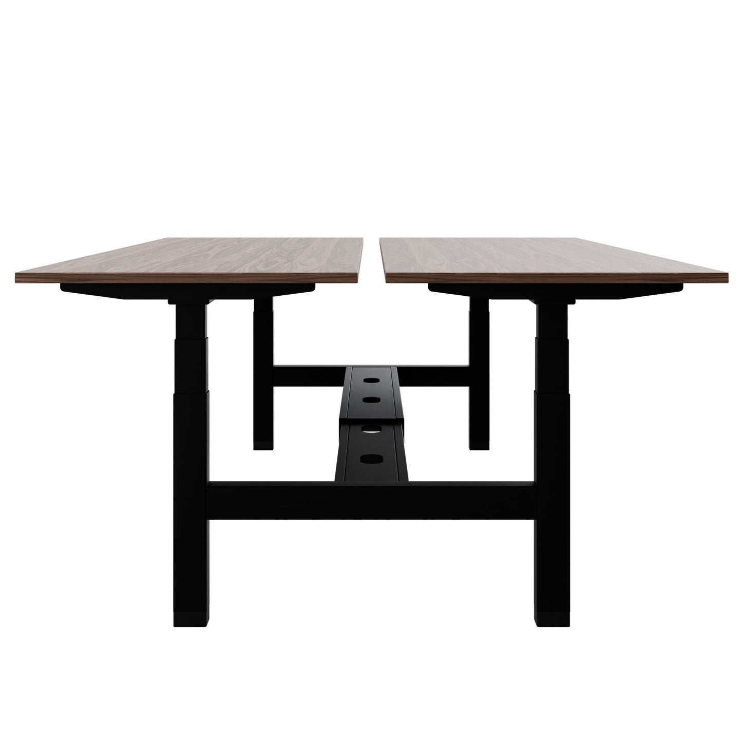 TELDRA Pro Team-Schreibtisch | 1600-1800 mm, elektrisch höhenverstellbar, Echtholz-Furnier Nussbaum