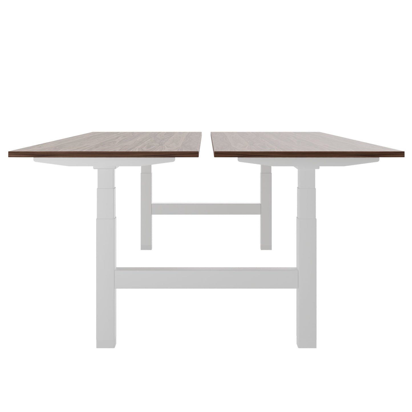 TELDRA Pro Team-Schreibtisch | 1600-1800 mm, elektrisch höhenverstellbar, Echtholz-Furnier Nussbaum