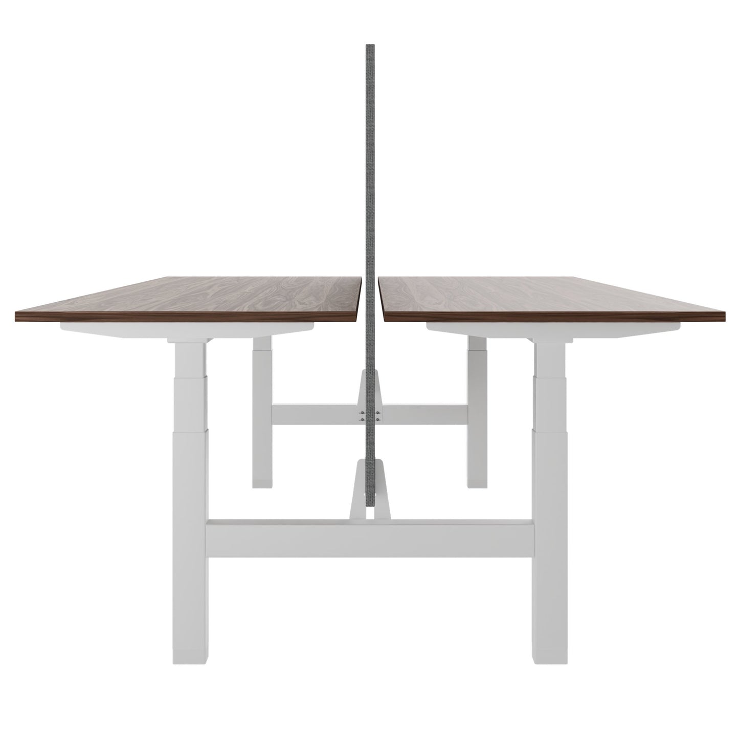 TELDRA Pro Team-Schreibtisch | 1600-1800 mm, elektrisch höhenverstellbar, Echtholz-Furnier Nussbaum