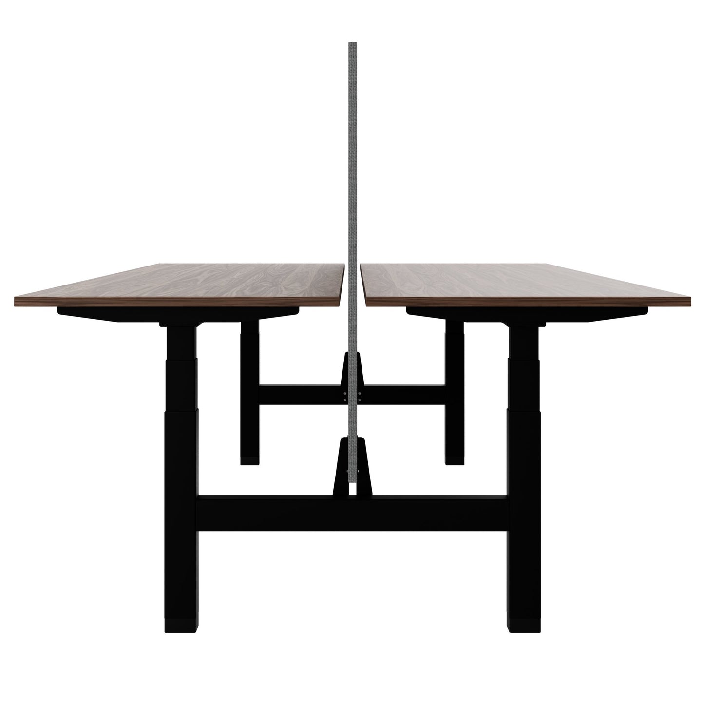 TELDRA Pro Team-Schreibtisch | 1600-1800 mm, elektrisch höhenverstellbar, Echtholz-Furnier Nussbaum