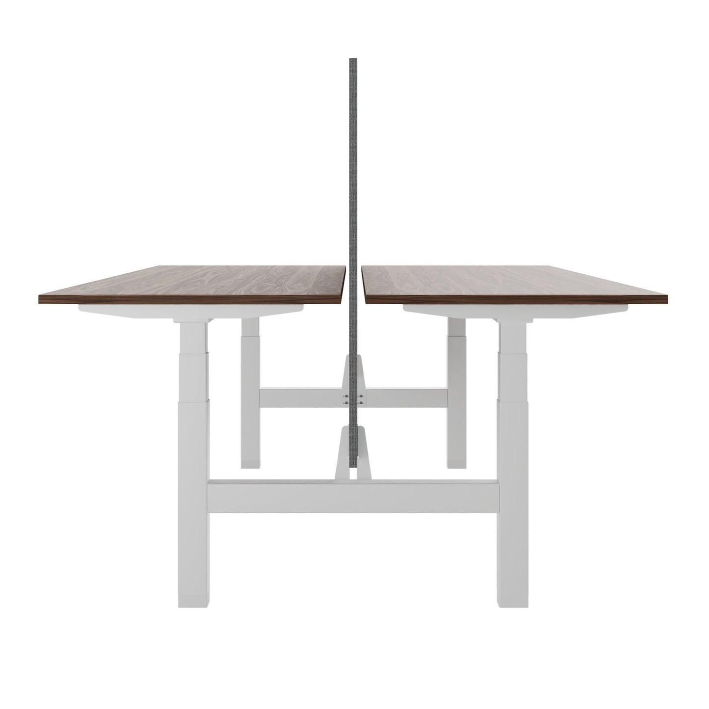 TELDRA Pro Team-Schreibtisch | 1600-1800 mm, elektrisch höhenverstellbar, Echtholz-Furnier Nussbaum