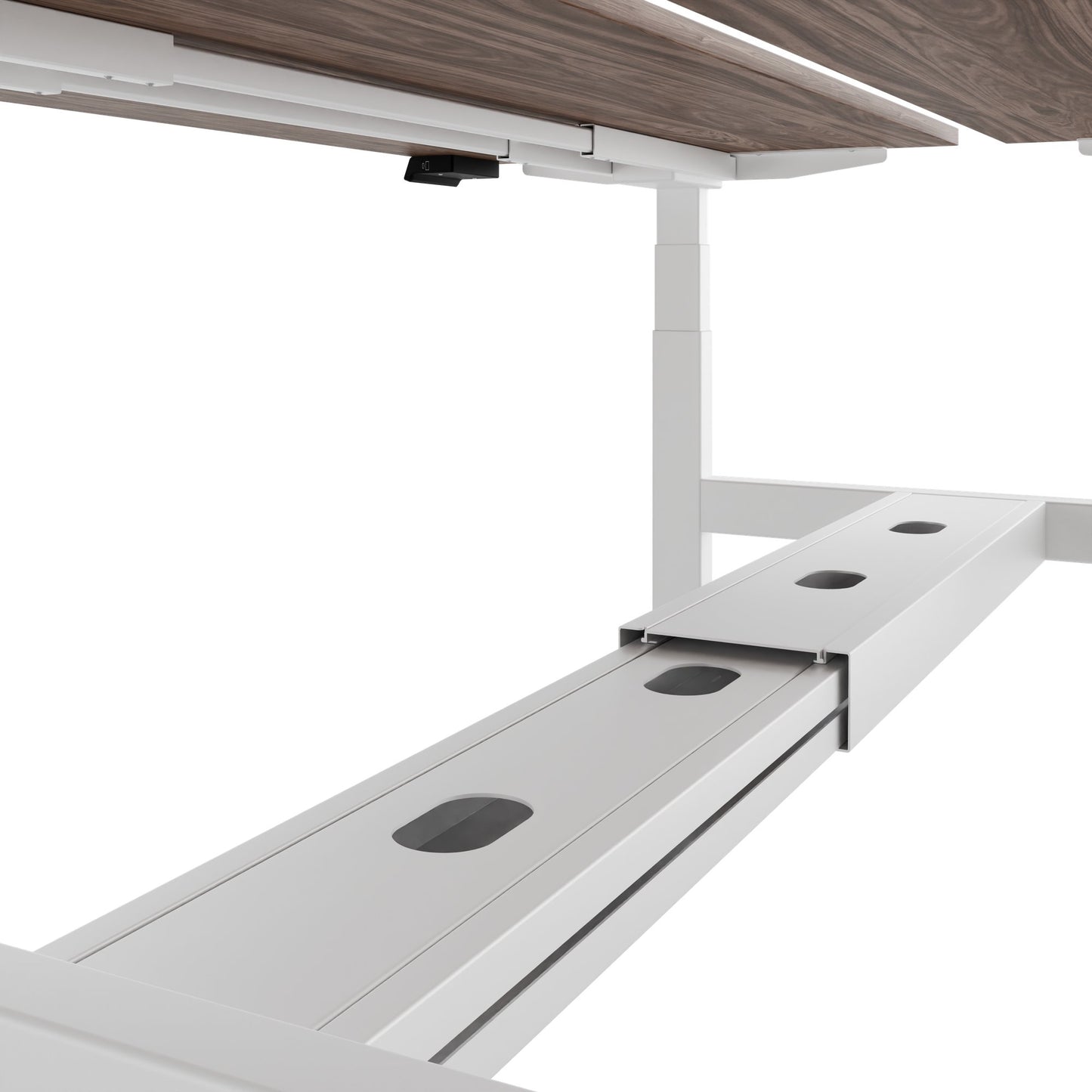 TELDRA Pro Team-Schreibtisch | 1600-1800 mm, elektrisch höhenverstellbar, Echtholz-Furnier Nussbaum