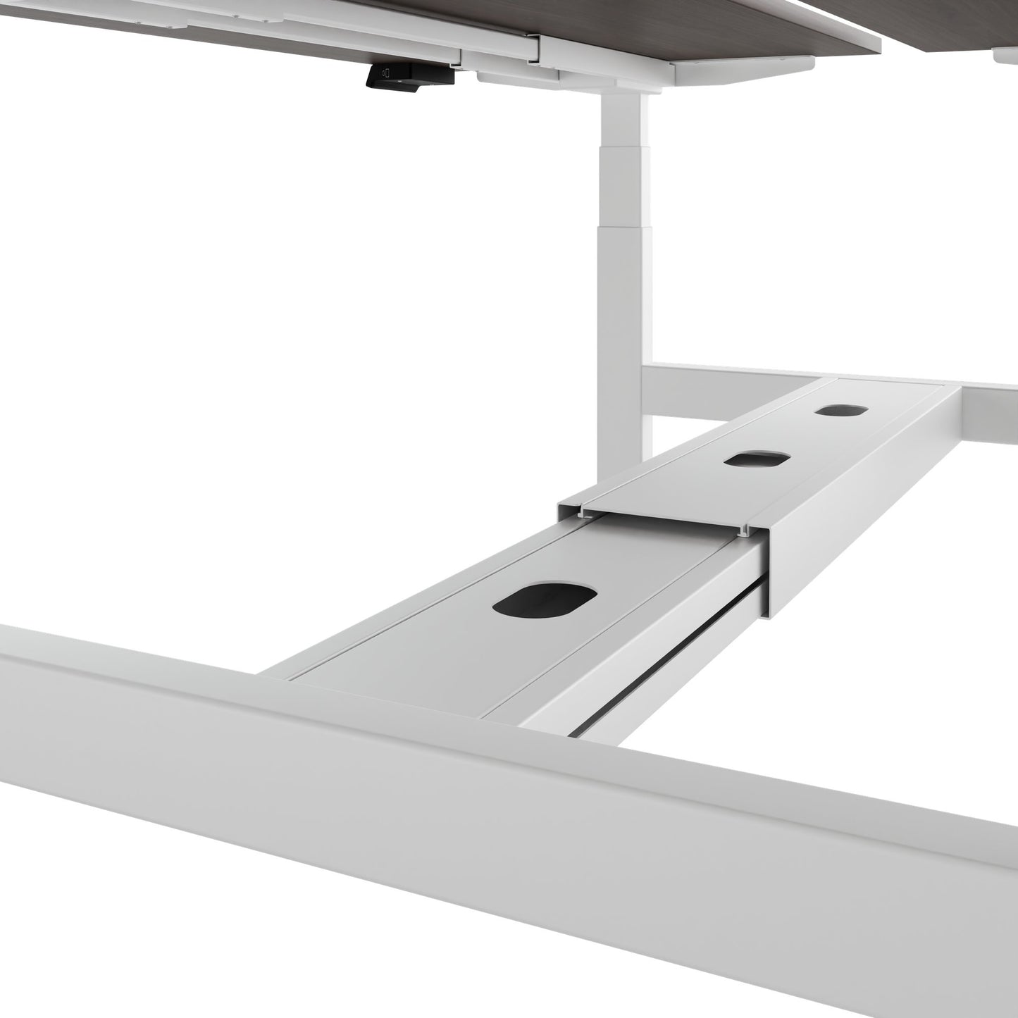 TELDRA Pro Team-Schreibtisch | 1600-1800 mm, elektrisch höhenverstellbar, Nussbaum