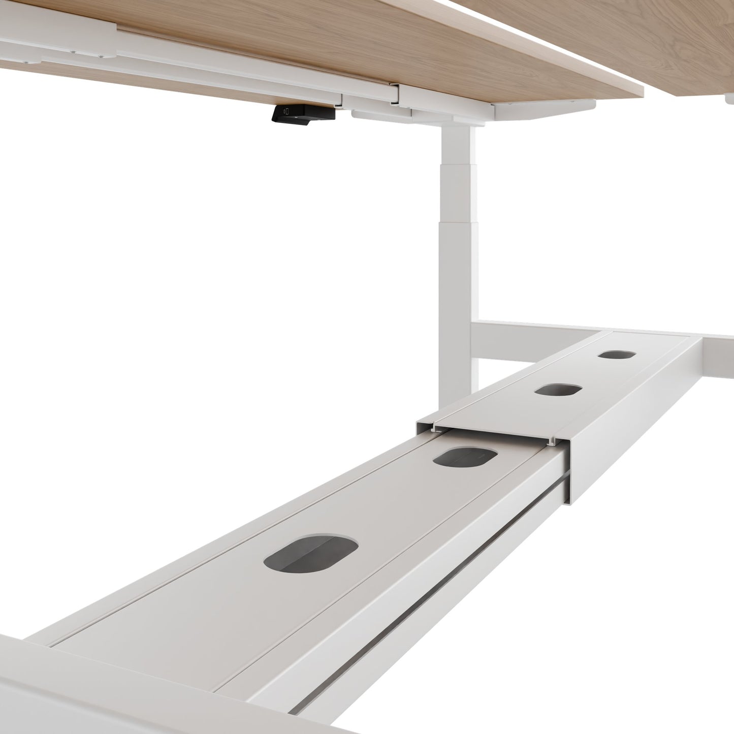 TELDRA Pro Team-Schreibtisch | 1600-1800 mm, elektrisch höhenverstellbar, Echtholz-Furnier Eiche