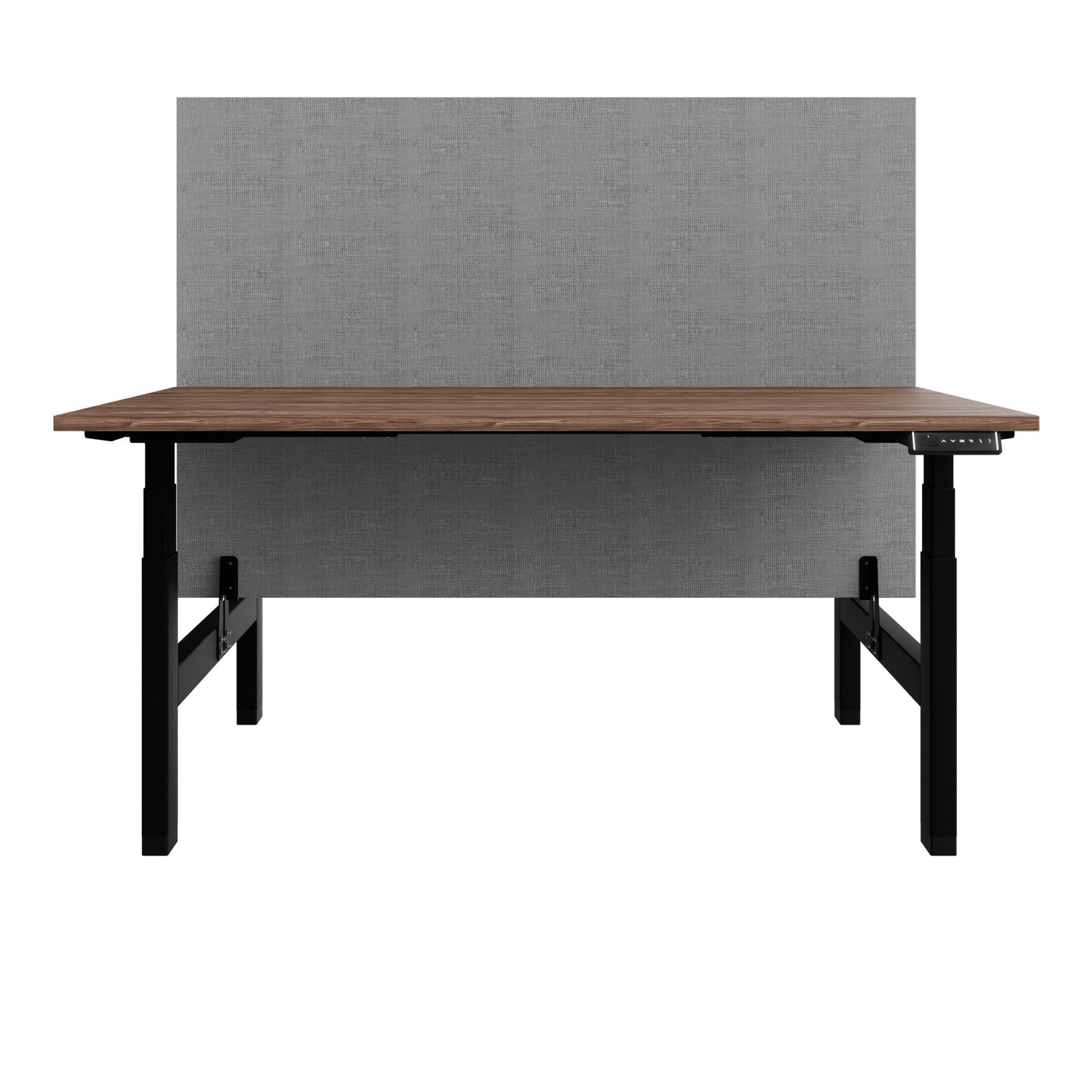 TELDRA Pro Team-Schreibtisch | 1600-1800 mm, elektrisch höhenverstellbar, Echtholz-Furnier Nussbaum