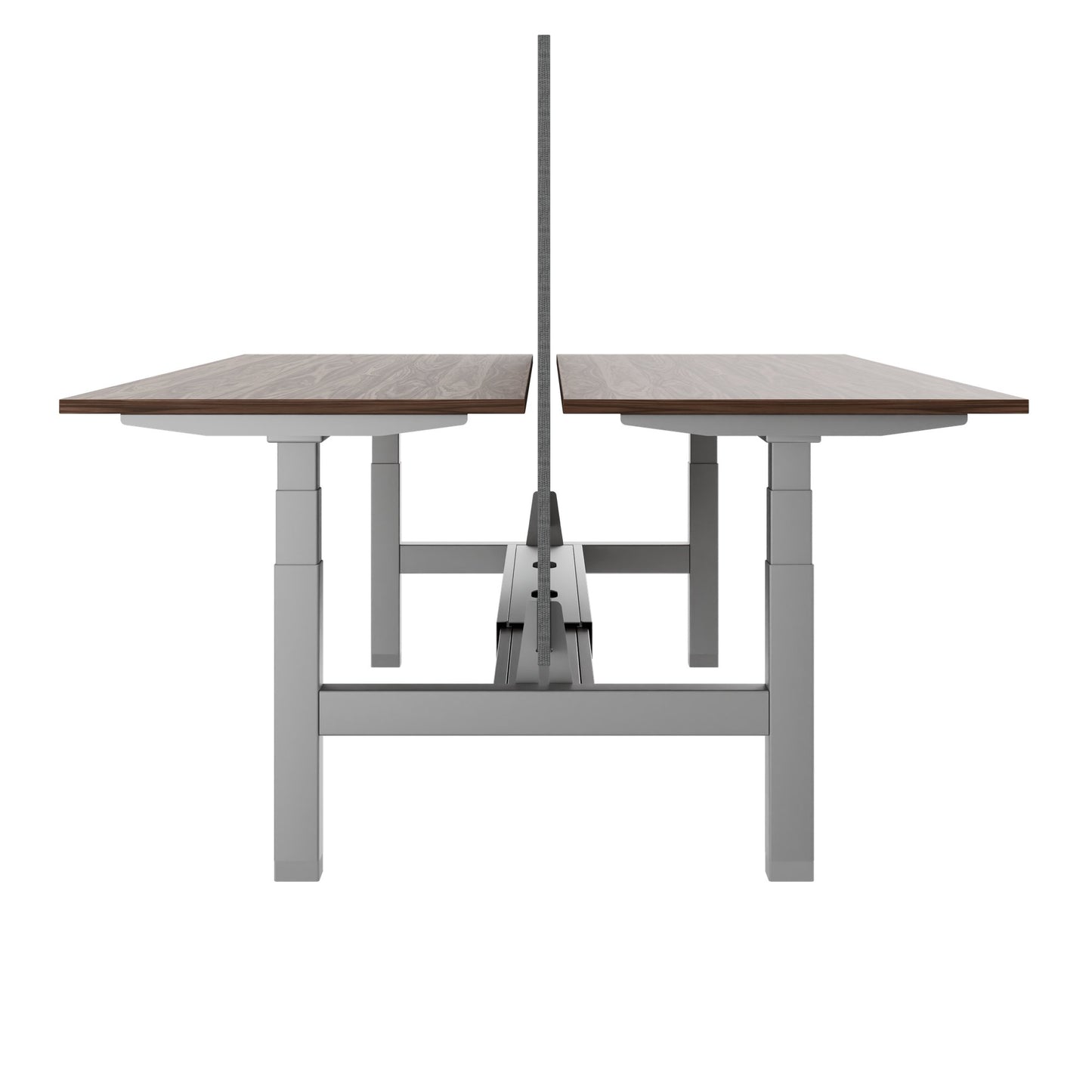 TELDRA Pro Team-Schreibtisch | 1600-1800 mm, elektrisch höhenverstellbar, Echtholz-Furnier Nussbaum