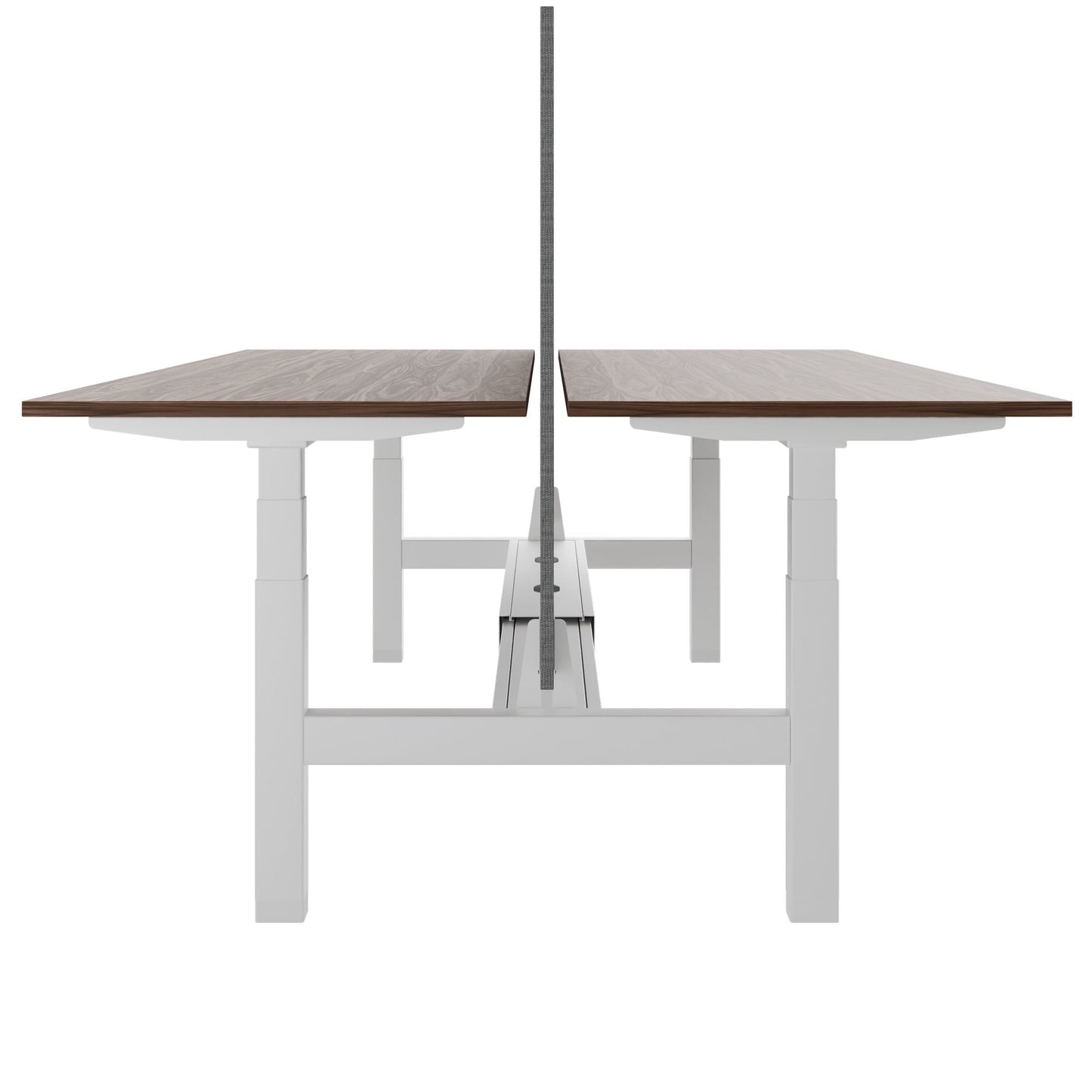 TELDRA Pro Team-Schreibtisch | 1600-1800 mm, elektrisch höhenverstellbar, Echtholz-Furnier Nussbaum