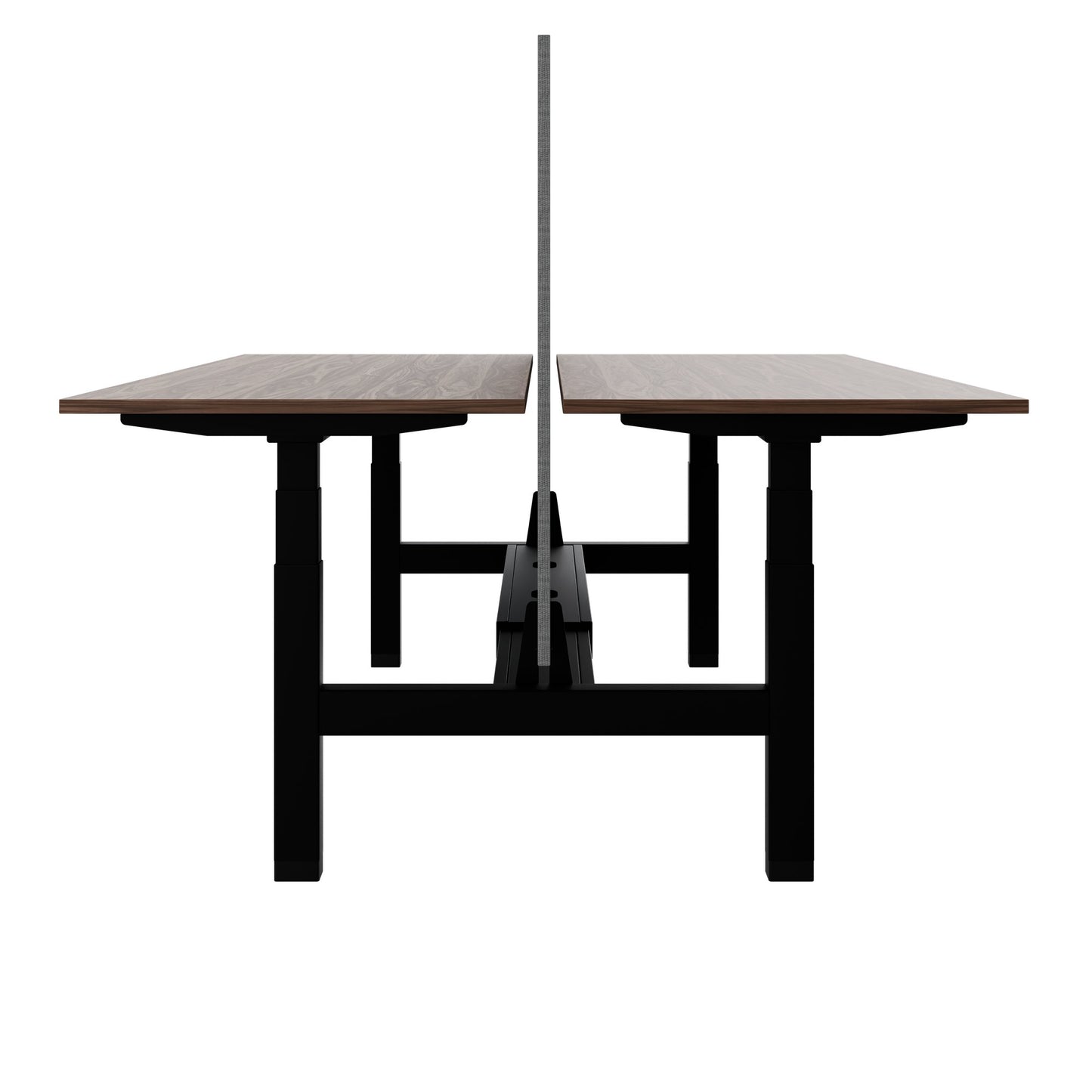 TELDRA Pro Team-Schreibtisch | 1600-1800 mm, elektrisch höhenverstellbar, Echtholz-Furnier Nussbaum