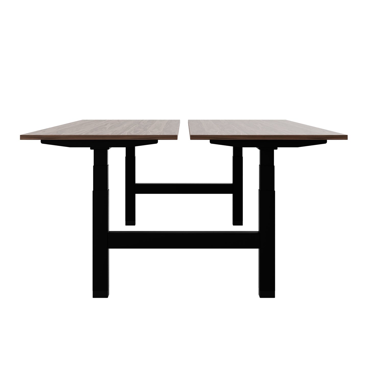 TELDRA Pro Team-Schreibtisch | 1600-1800 mm, elektrisch höhenverstellbar, Echtholz-Furnier Nussbaum