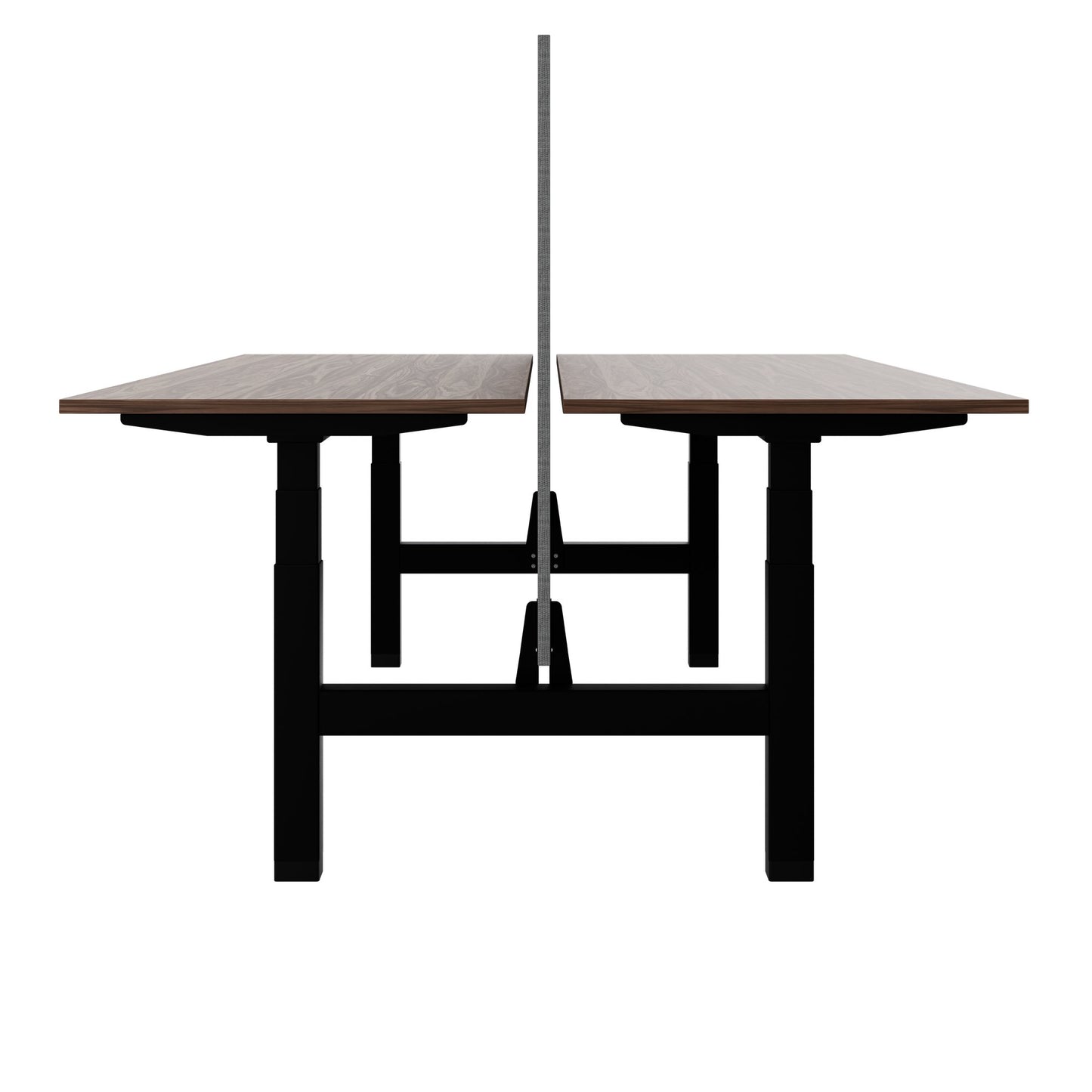 TELDRA Pro Team-Schreibtisch | 1600-1800 mm, elektrisch höhenverstellbar, Echtholz-Furnier Nussbaum