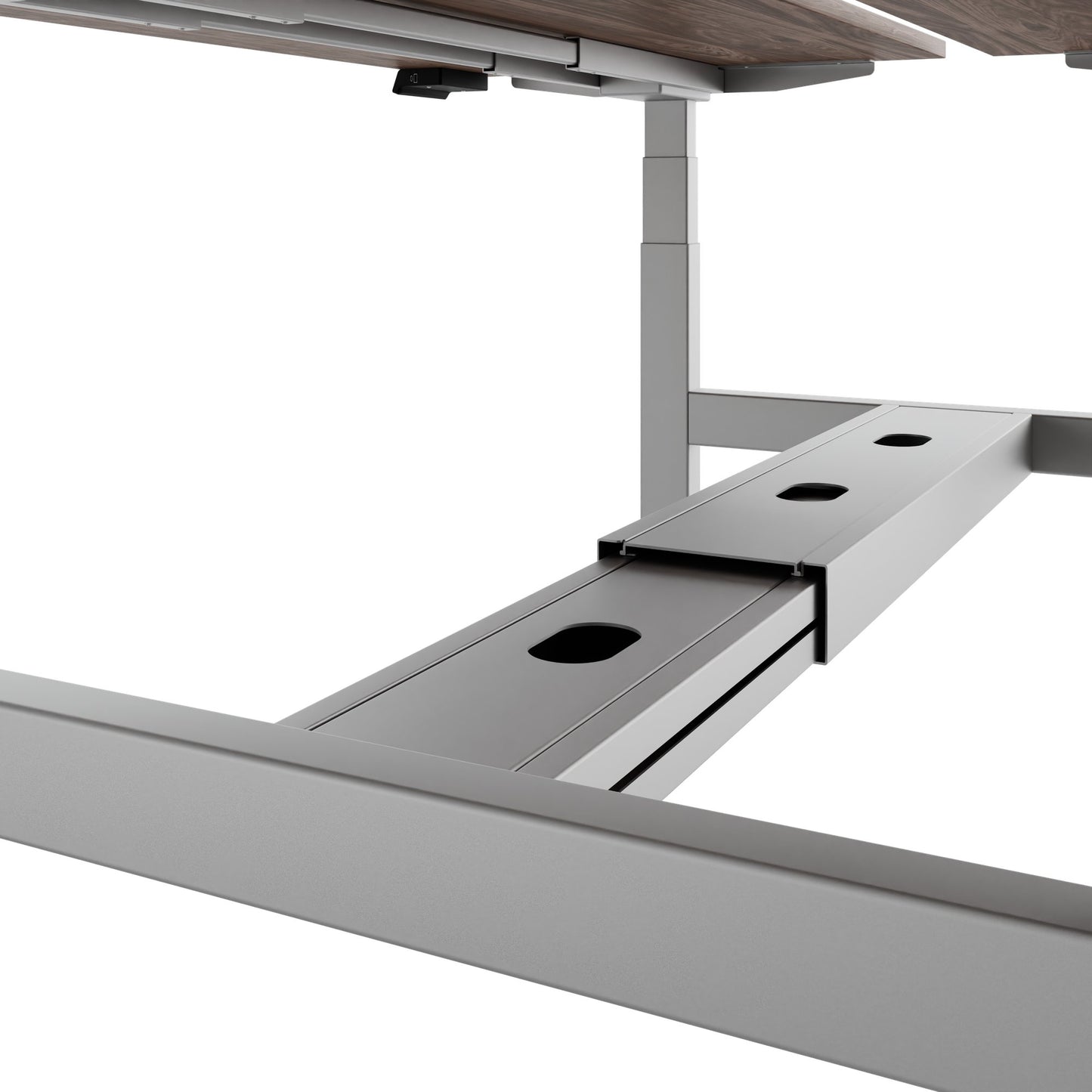 TELDRA Pro Team-Schreibtisch | 1600-1800 mm, elektrisch höhenverstellbar, Echtholz-Furnier Nussbaum