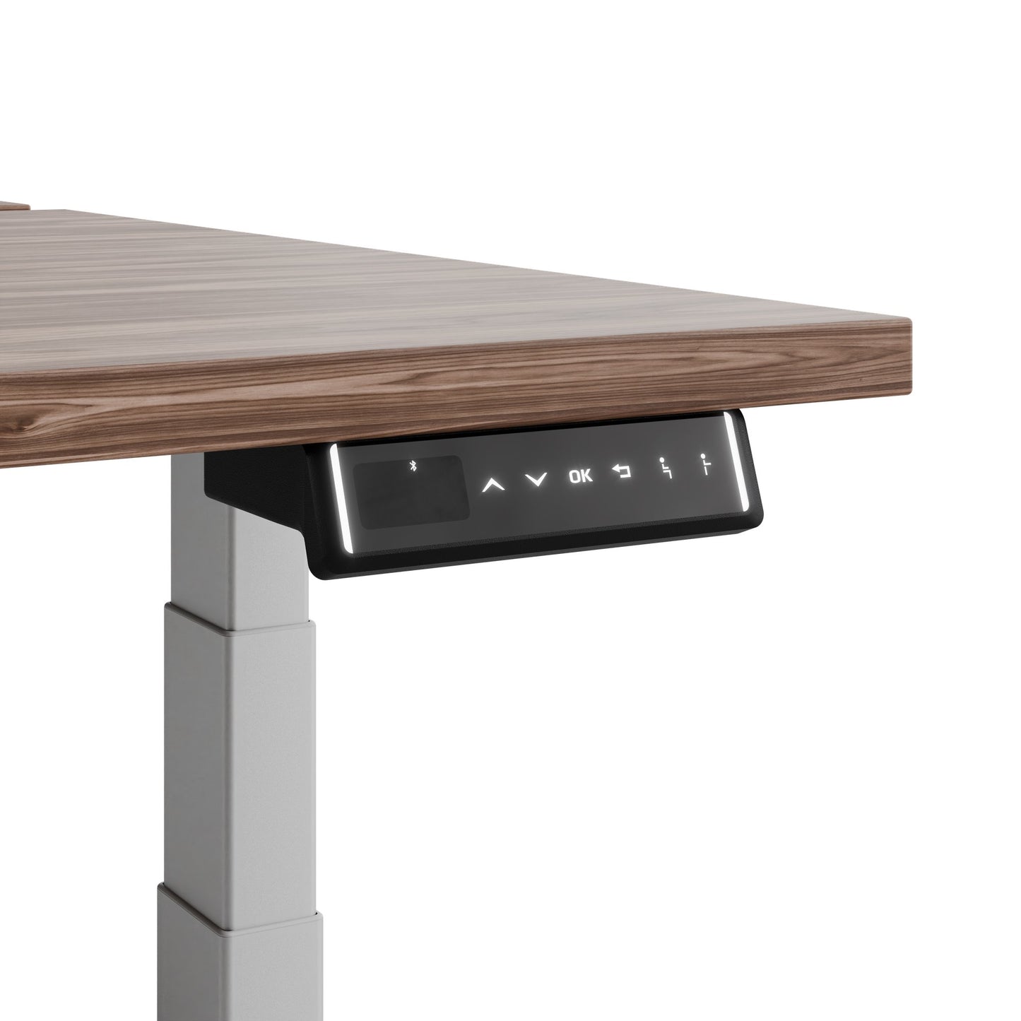 TELDRA Pro Team-Schreibtisch | 1600-1800 mm, elektrisch höhenverstellbar, Echtholz-Furnier Nussbaum