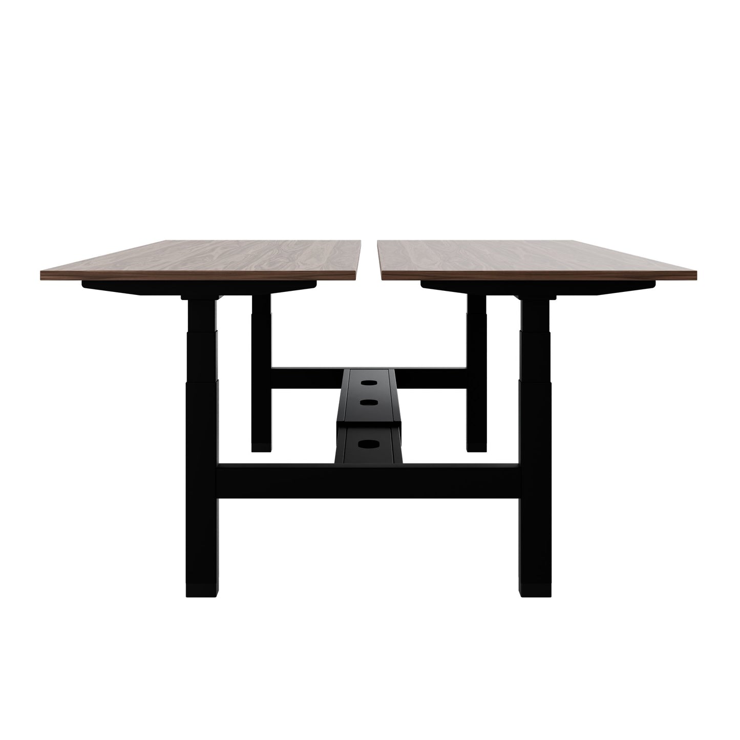 TELDRA Pro Team-Schreibtisch | 1600-1800 mm, elektrisch höhenverstellbar, Echtholz-Furnier Nussbaum