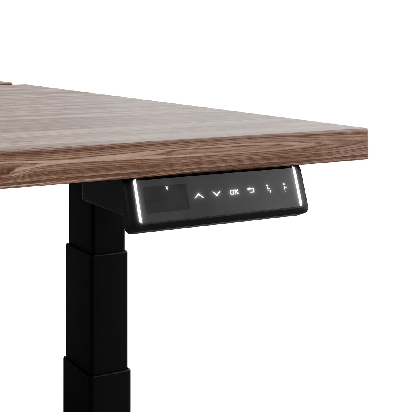 TELDRA Pro Team-Schreibtisch | 1600-1800 mm, elektrisch höhenverstellbar, Echtholz-Furnier Nussbaum