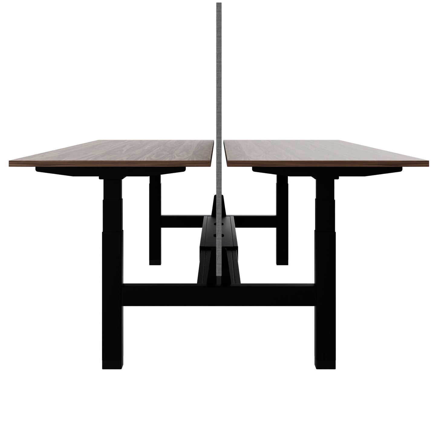 TELDRA Pro Team-Schreibtisch | 1600-1800 mm, elektrisch höhenverstellbar, Echtholz-Furnier Nussbaum