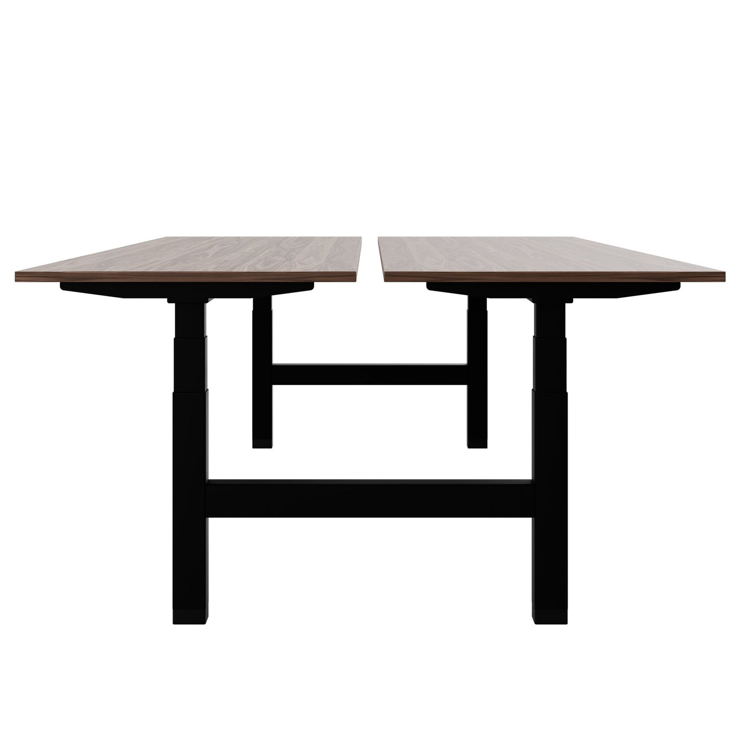 TELDRA Pro Team-Schreibtisch | 1600-1800 mm, elektrisch höhenverstellbar, Echtholz-Furnier Nussbaum