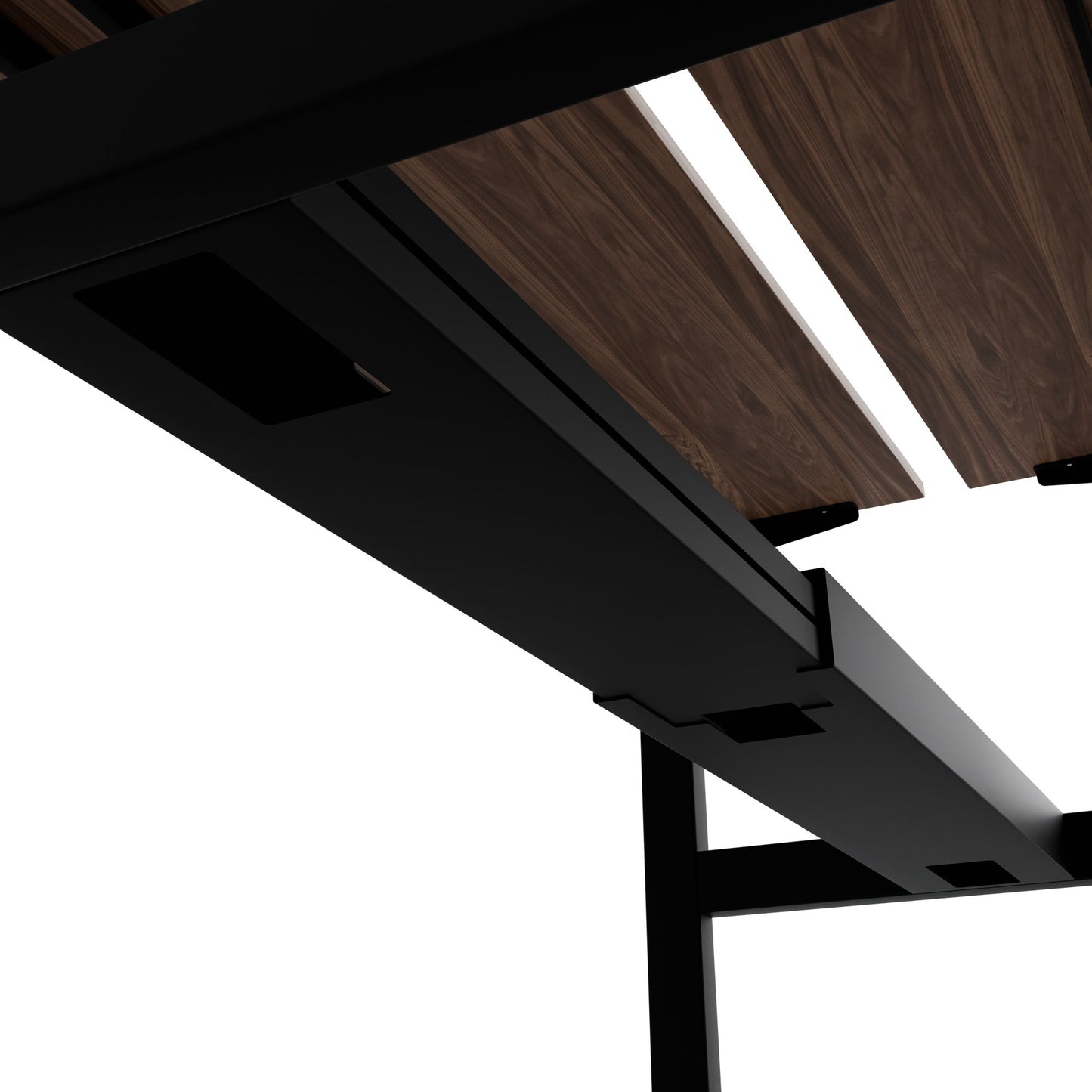 TELDRA Pro Team-Schreibtisch | 1600-1800 mm, elektrisch höhenverstellbar, Echtholz-Furnier Nussbaum