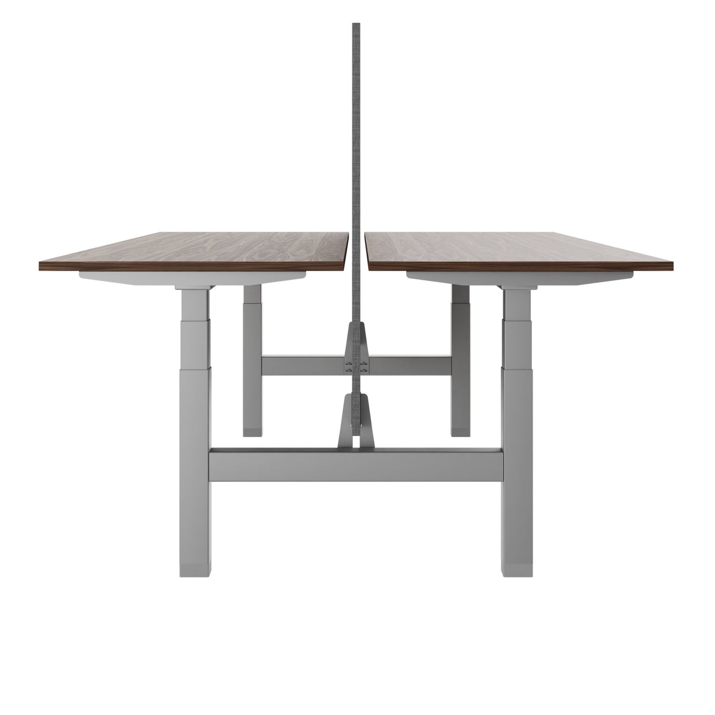 TELDRA Pro Team-Schreibtisch | 1600-1800 mm, elektrisch höhenverstellbar, Echtholz-Furnier Nussbaum