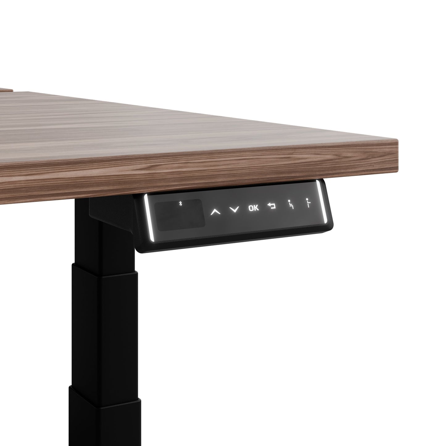 TELDRA Pro Team-Schreibtisch | 1600-1800 mm, elektrisch höhenverstellbar, Echtholz-Furnier Nussbaum