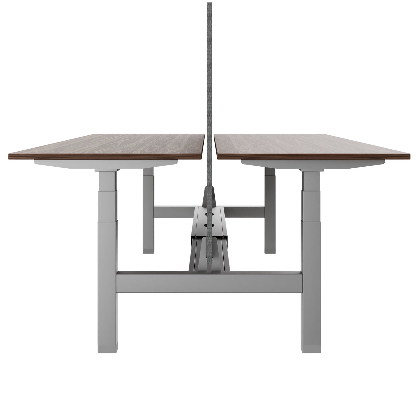 TELDRA Pro Team-Schreibtisch | 1600-1800 mm, elektrisch höhenverstellbar, Echtholz-Furnier Nussbaum