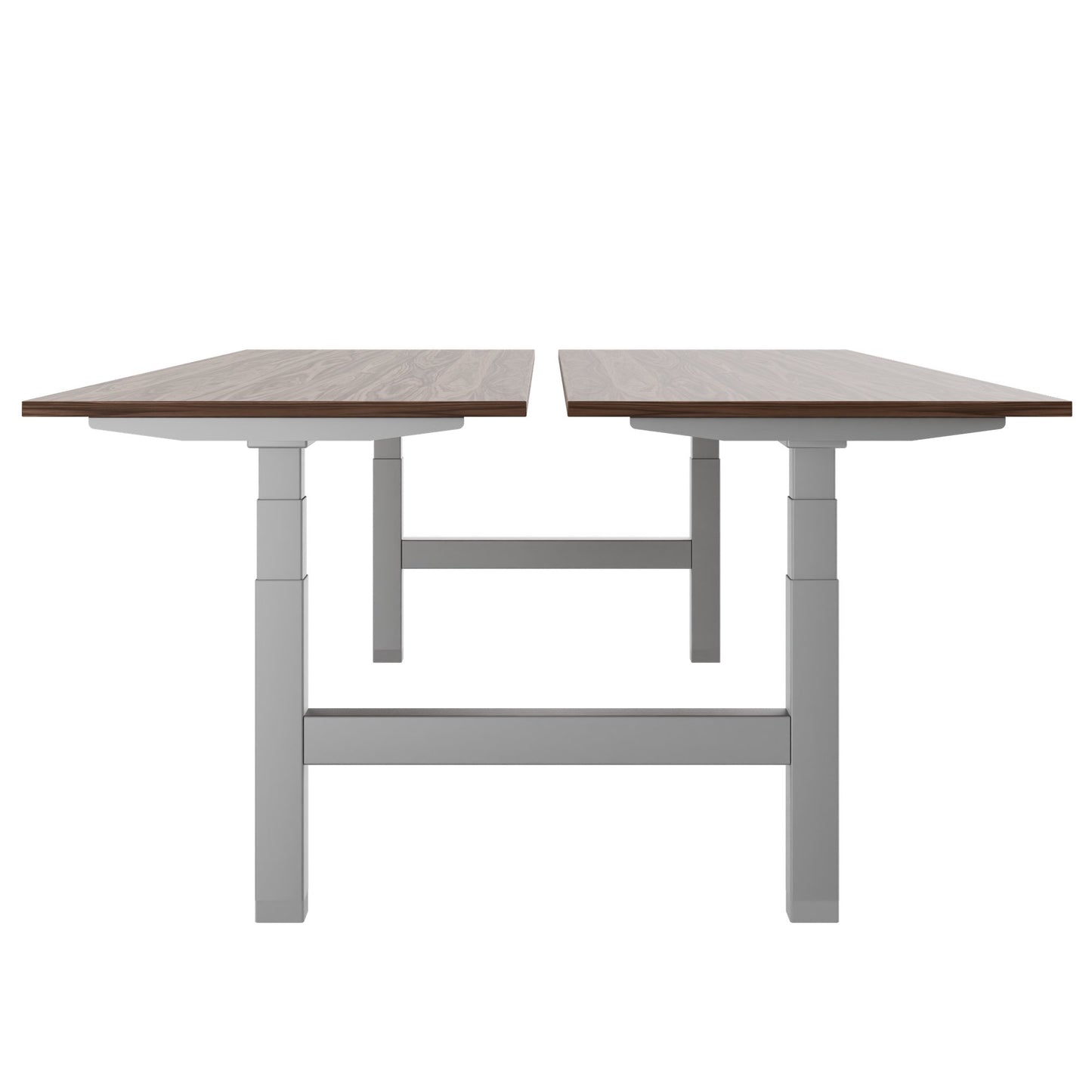 TELDRA Pro Team-Schreibtisch | 1600-1800 mm, elektrisch höhenverstellbar, Echtholz-Furnier Nussbaum