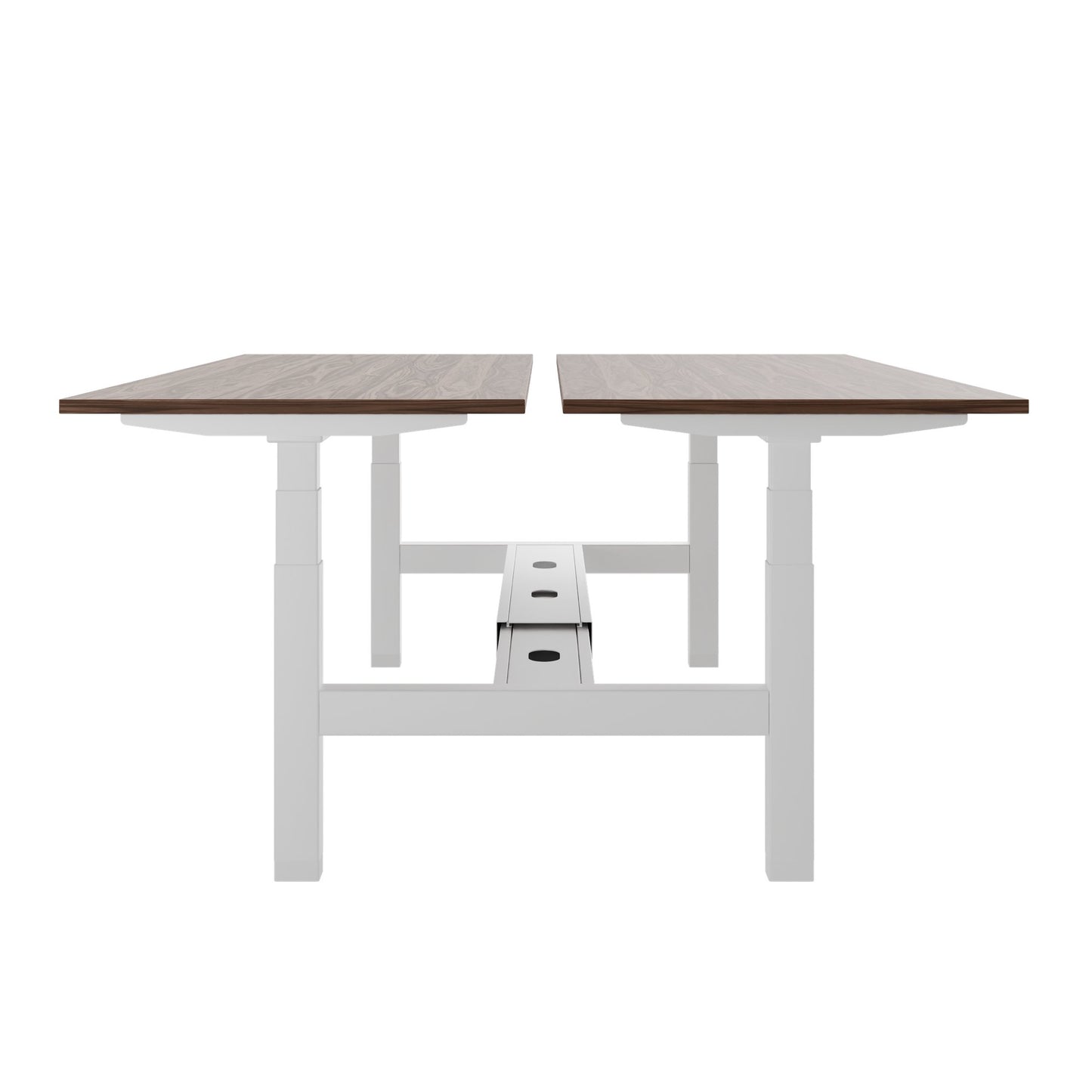 TELDRA Pro Team-Schreibtisch | 1600-1800 mm, elektrisch höhenverstellbar, Echtholz-Furnier Nussbaum