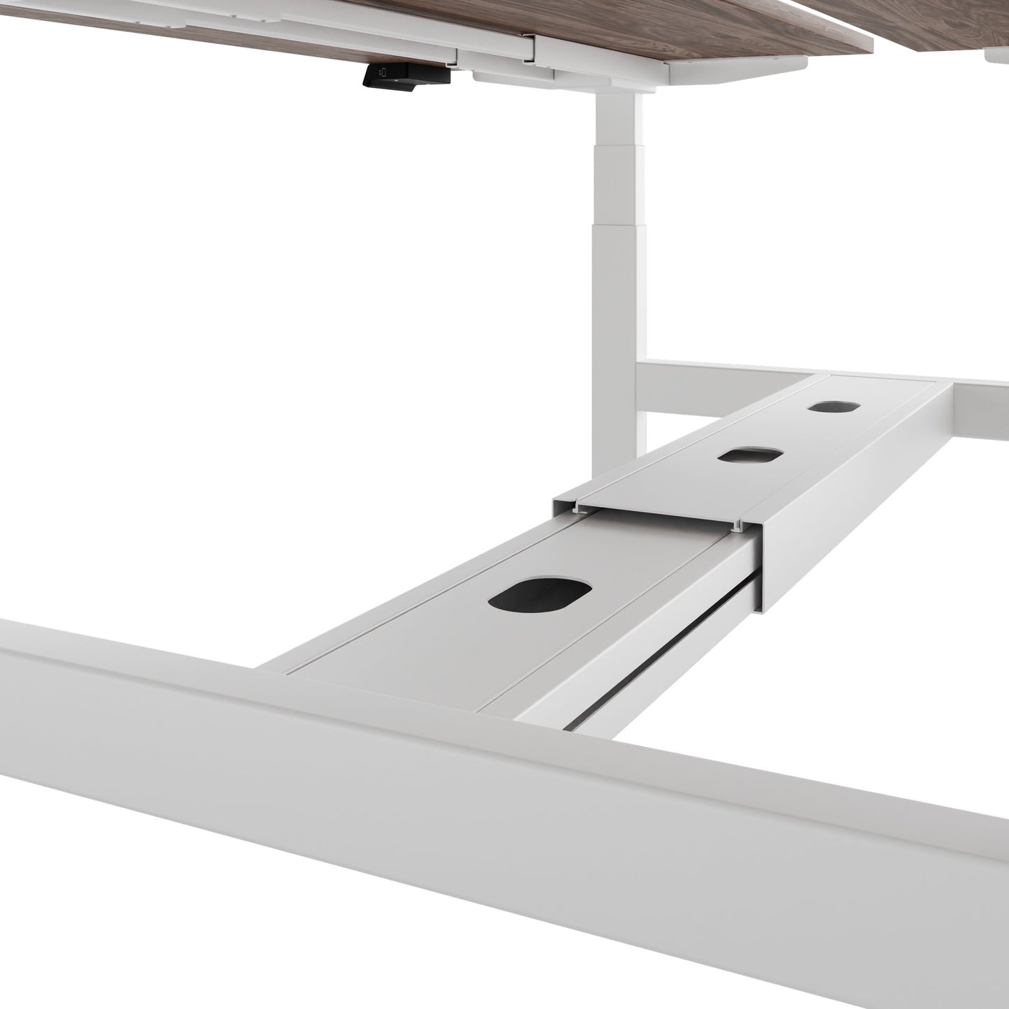 TELDRA Pro Team-Schreibtisch | 1600-1800 mm, elektrisch höhenverstellbar, Echtholz-Furnier Nussbaum