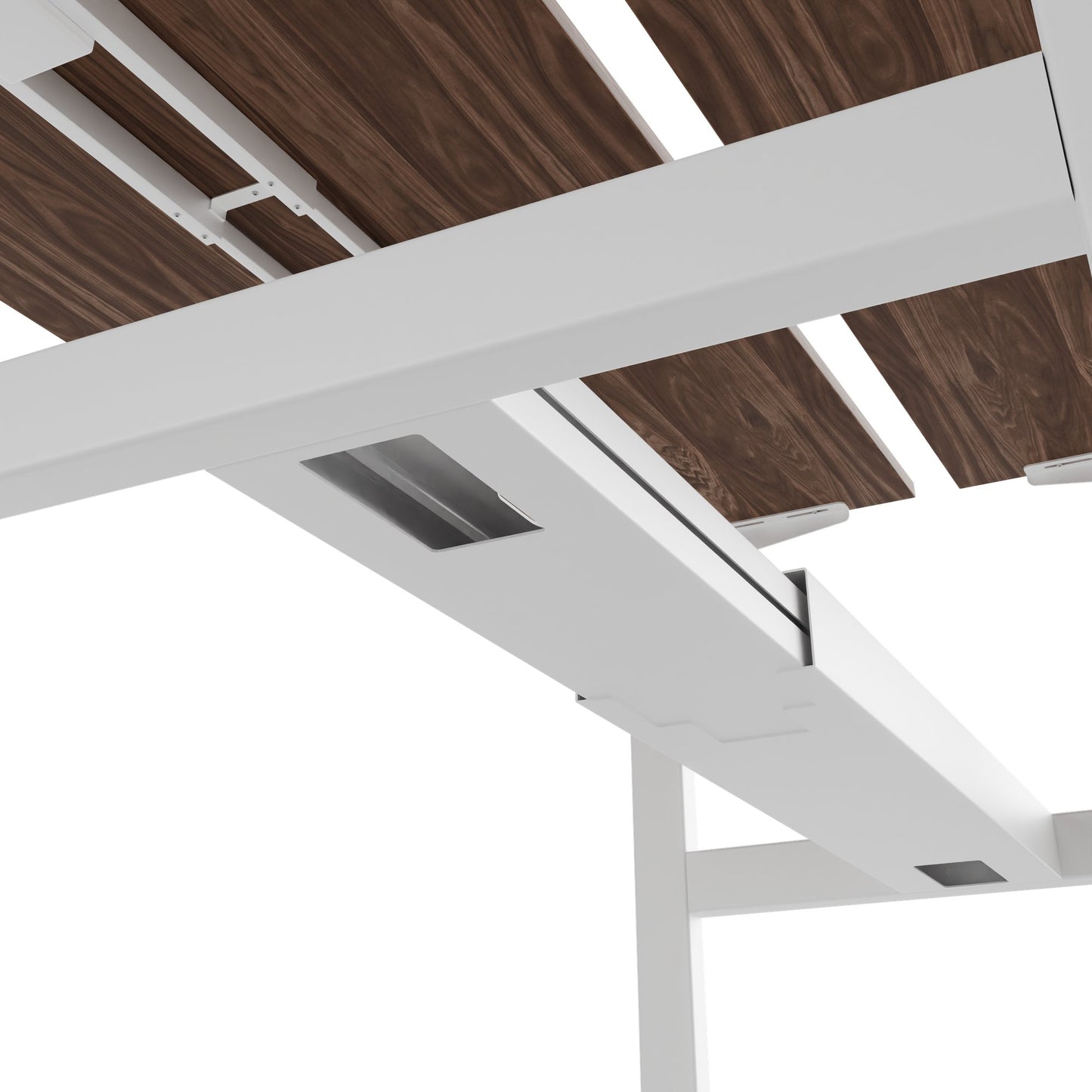 TELDRA Pro Team-Schreibtisch | 1600-1800 mm, elektrisch höhenverstellbar, Echtholz-Furnier Nussbaum